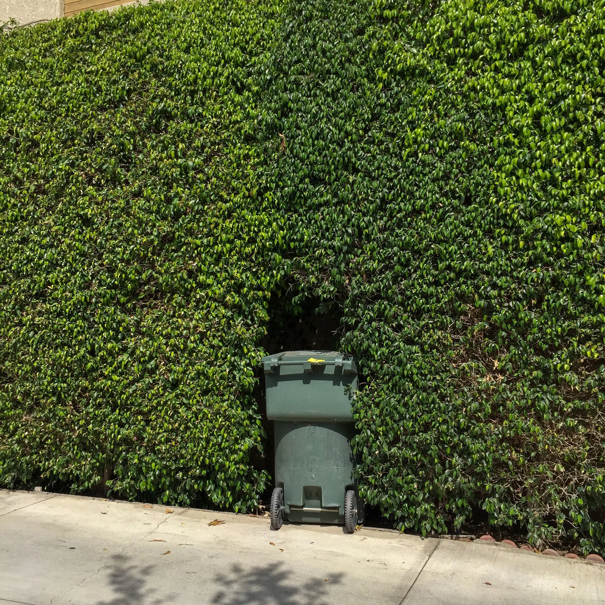   Lisa Guerriero   www.lisaguerrierophotography.com  