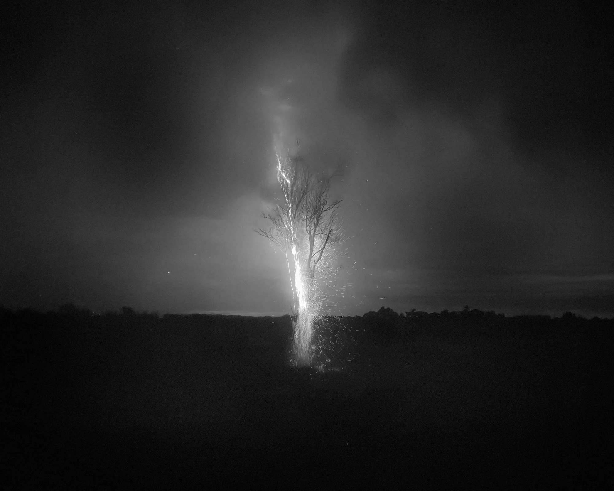   Madelyn Lohman  www.  madelynlohman.com  