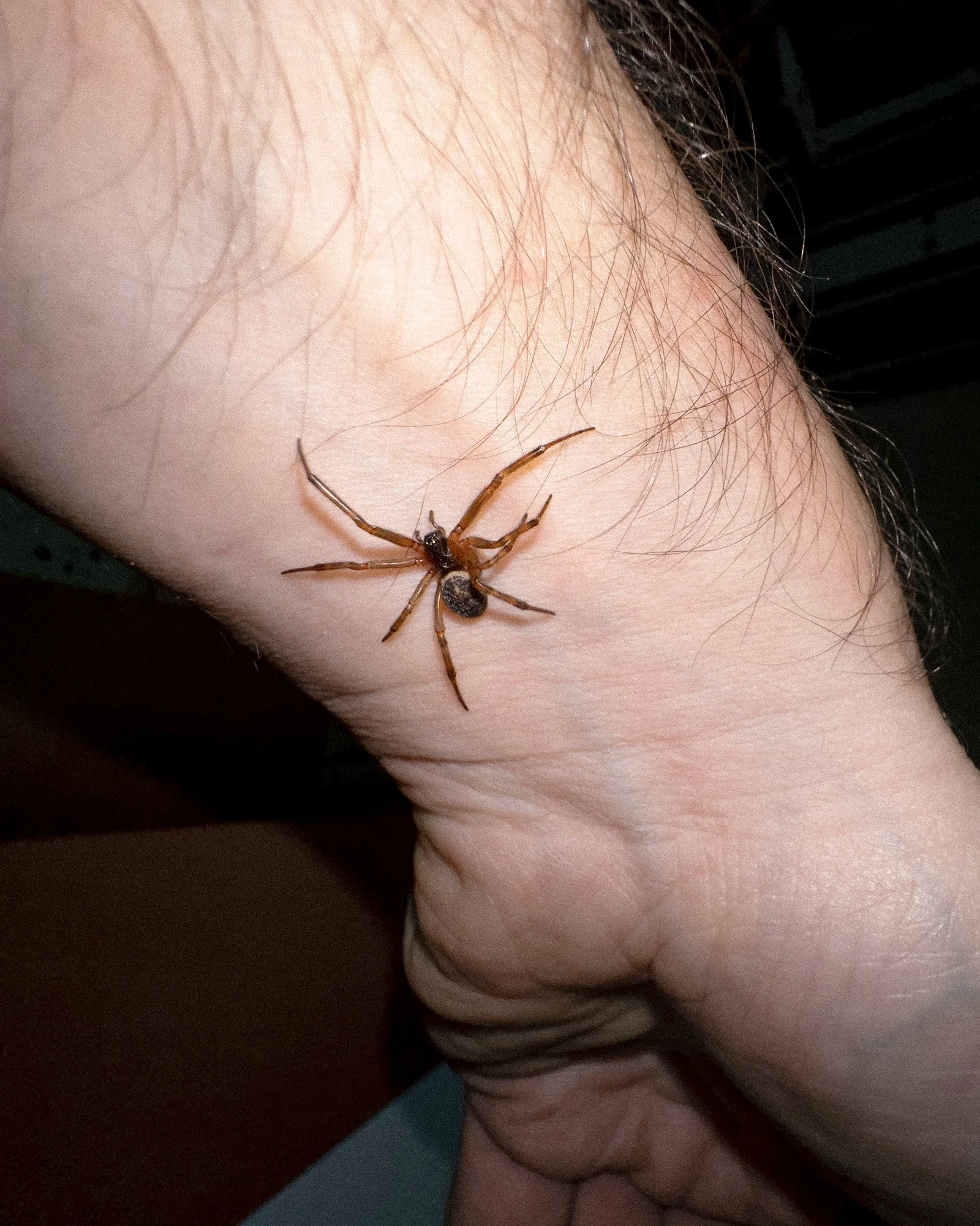   Mikael Buck   www.mikaelbuck.com  