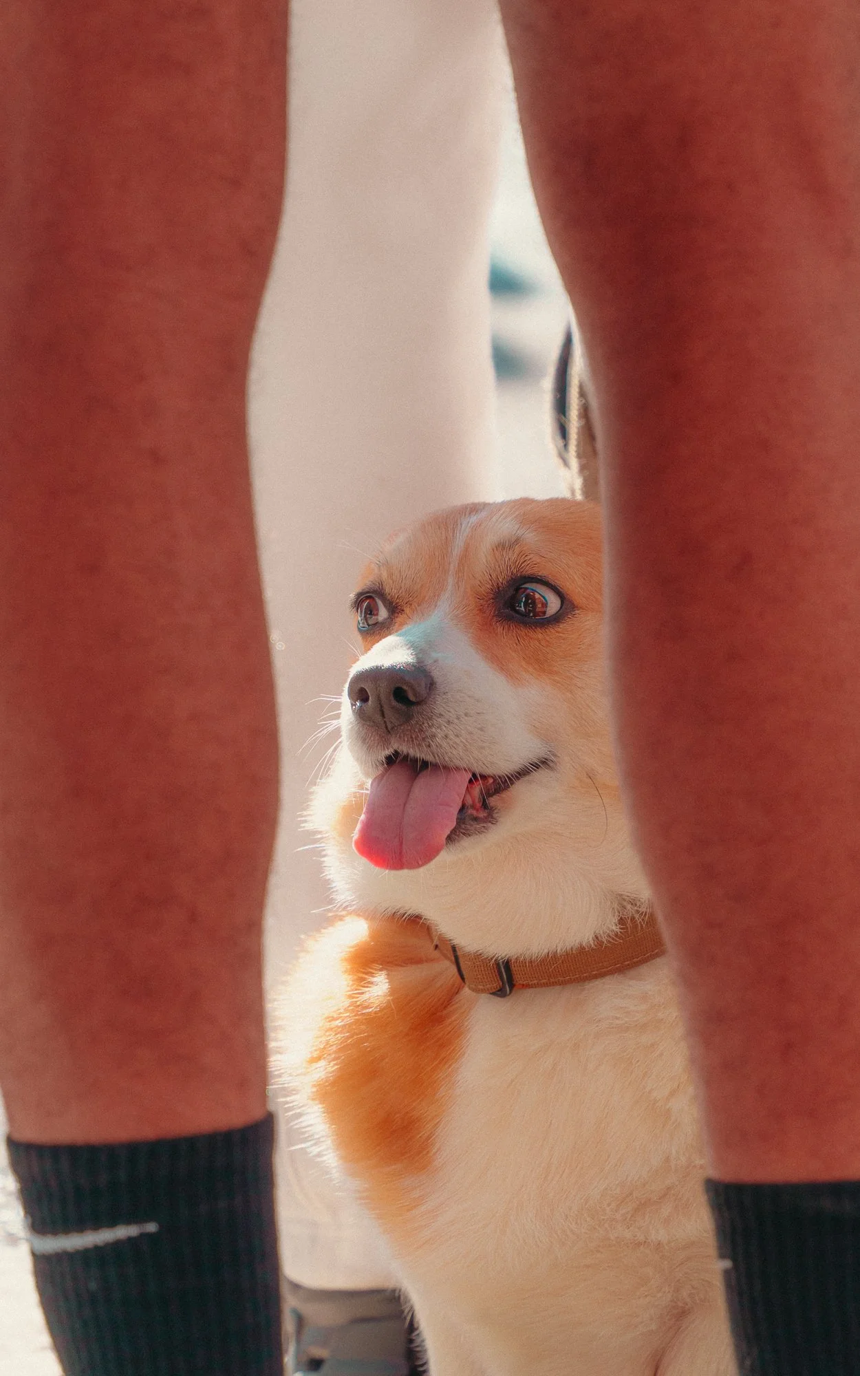  Puppy Tsai  www.puppytsai.com  