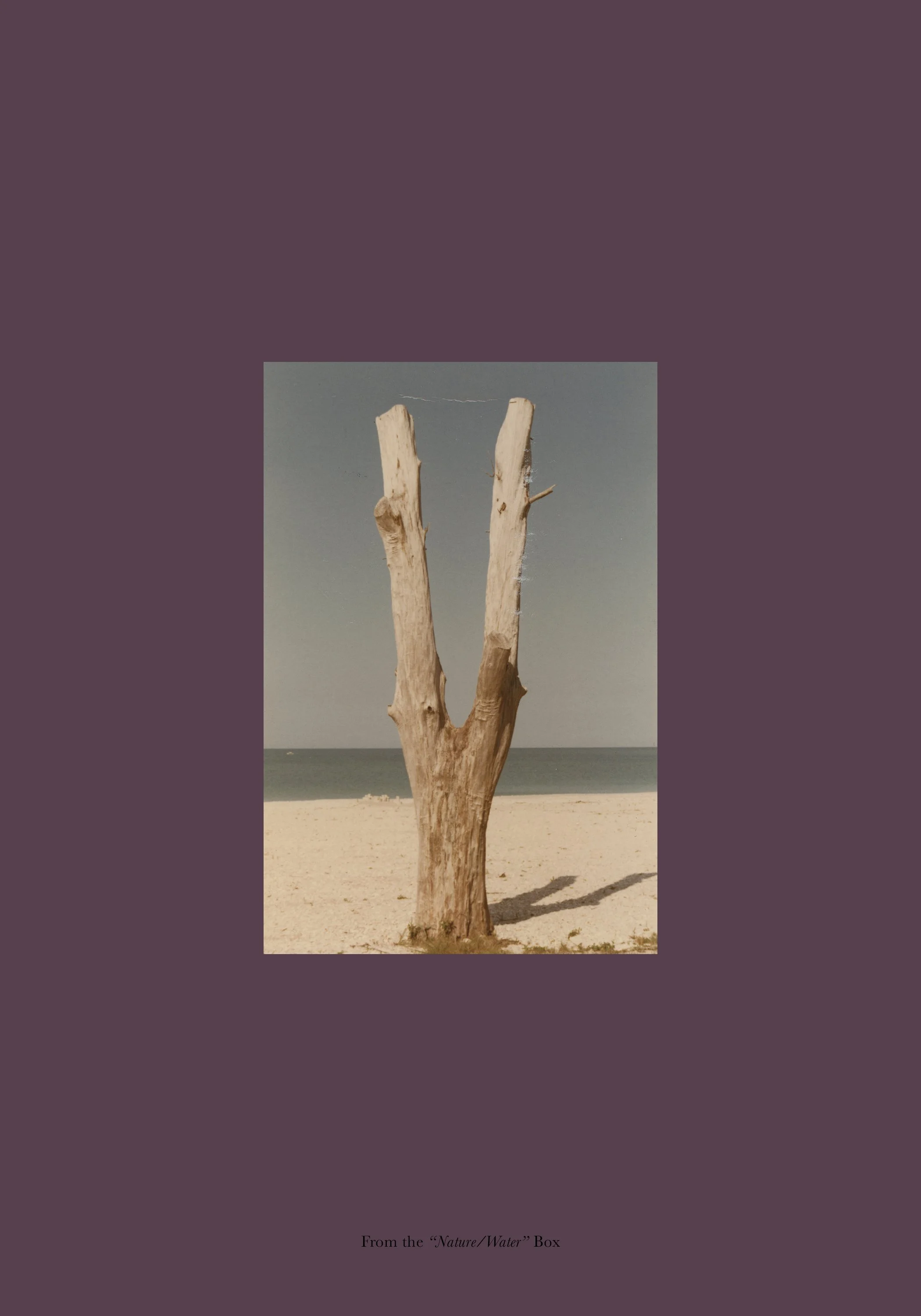  From the  “Nature/Water”  Box 