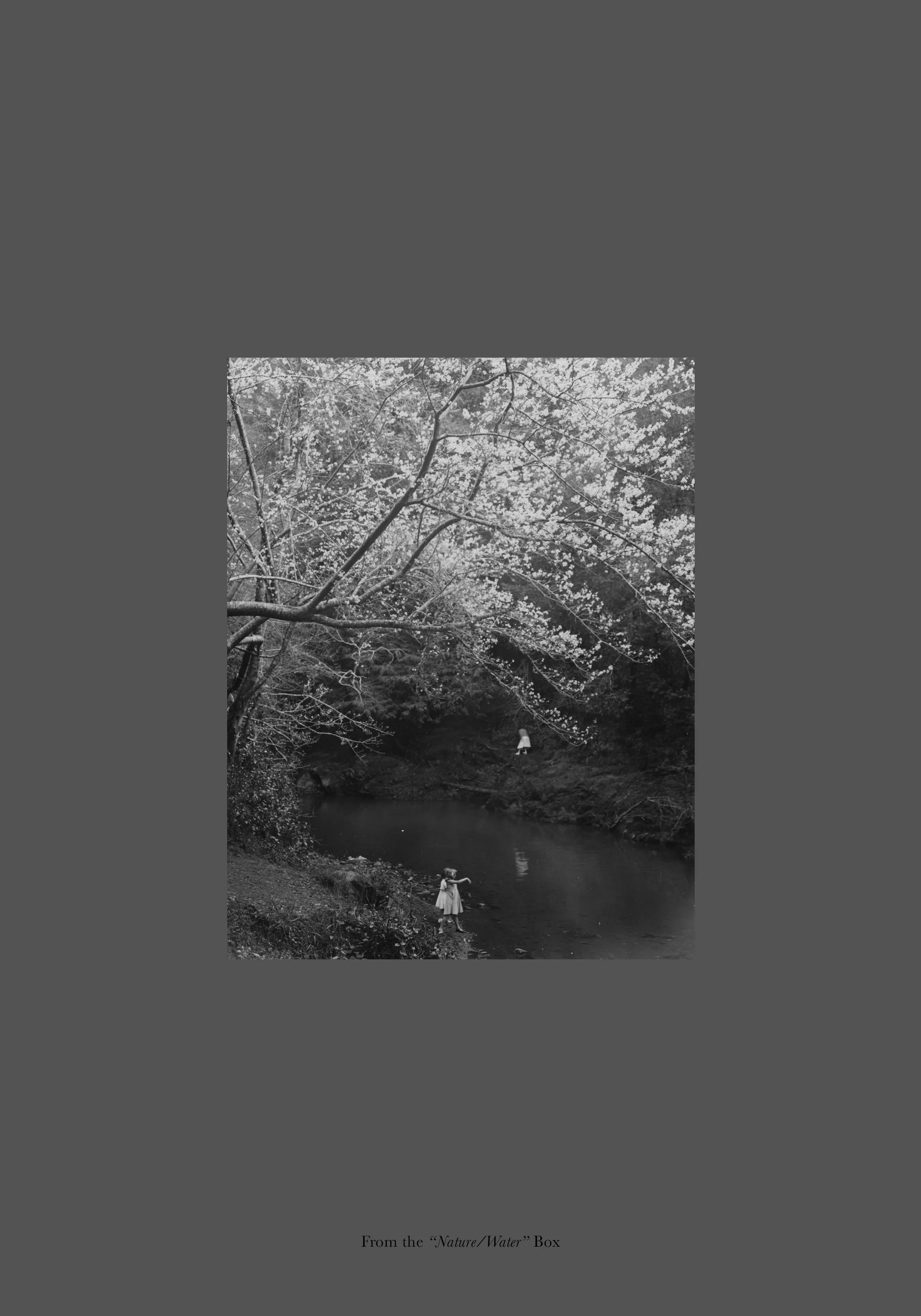  From the  “Nature/Water”  Box 