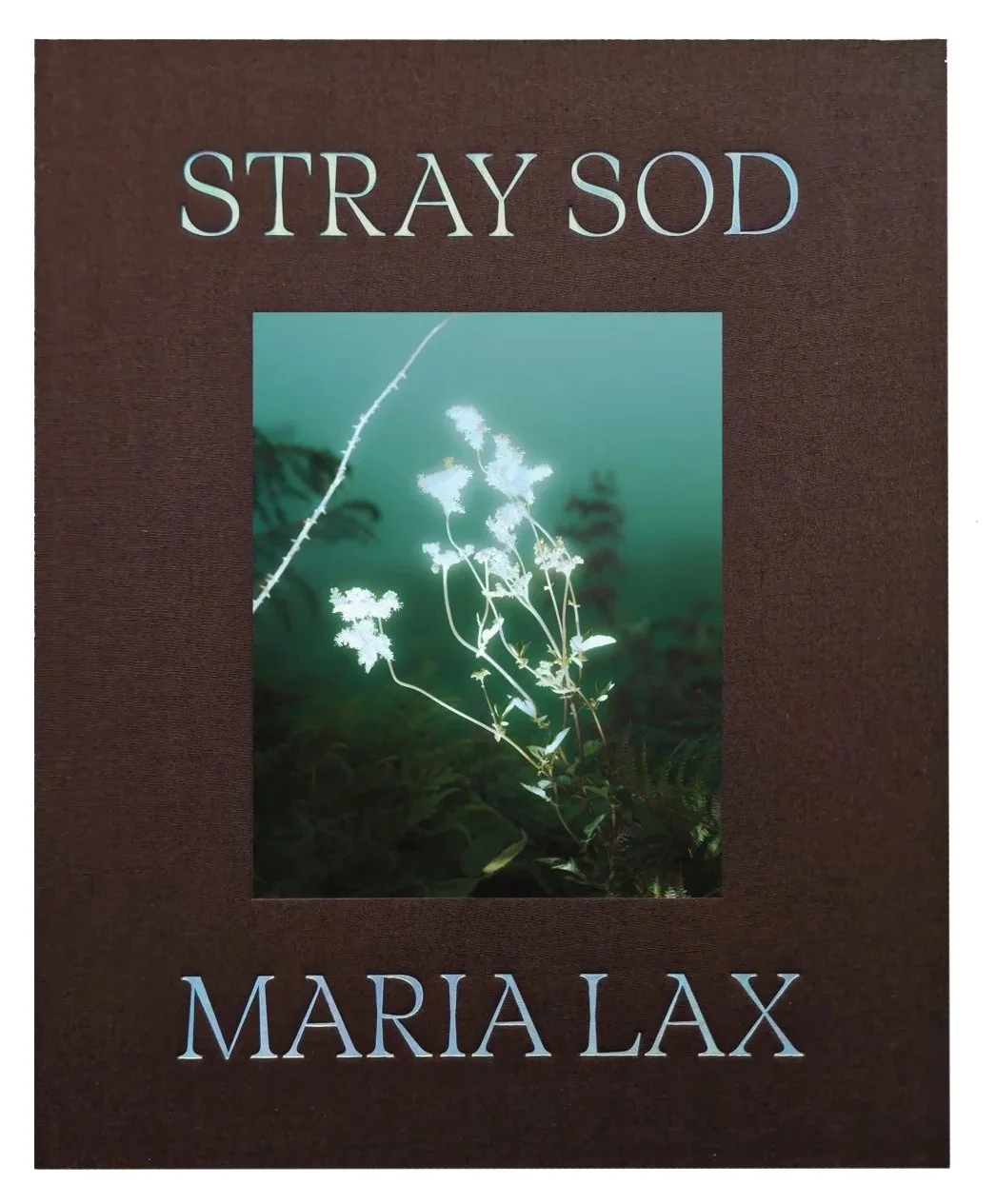 Maria Lax