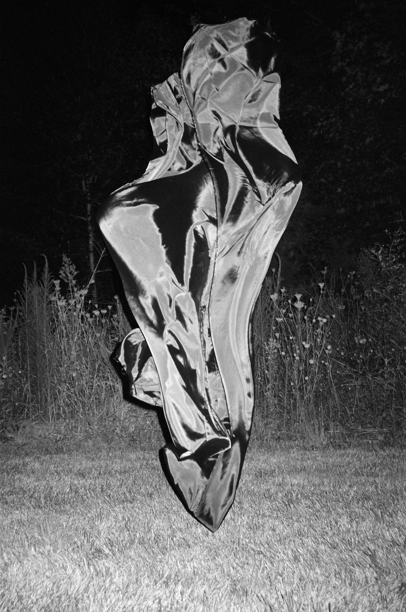   Kody Zenger   zenger.studio  