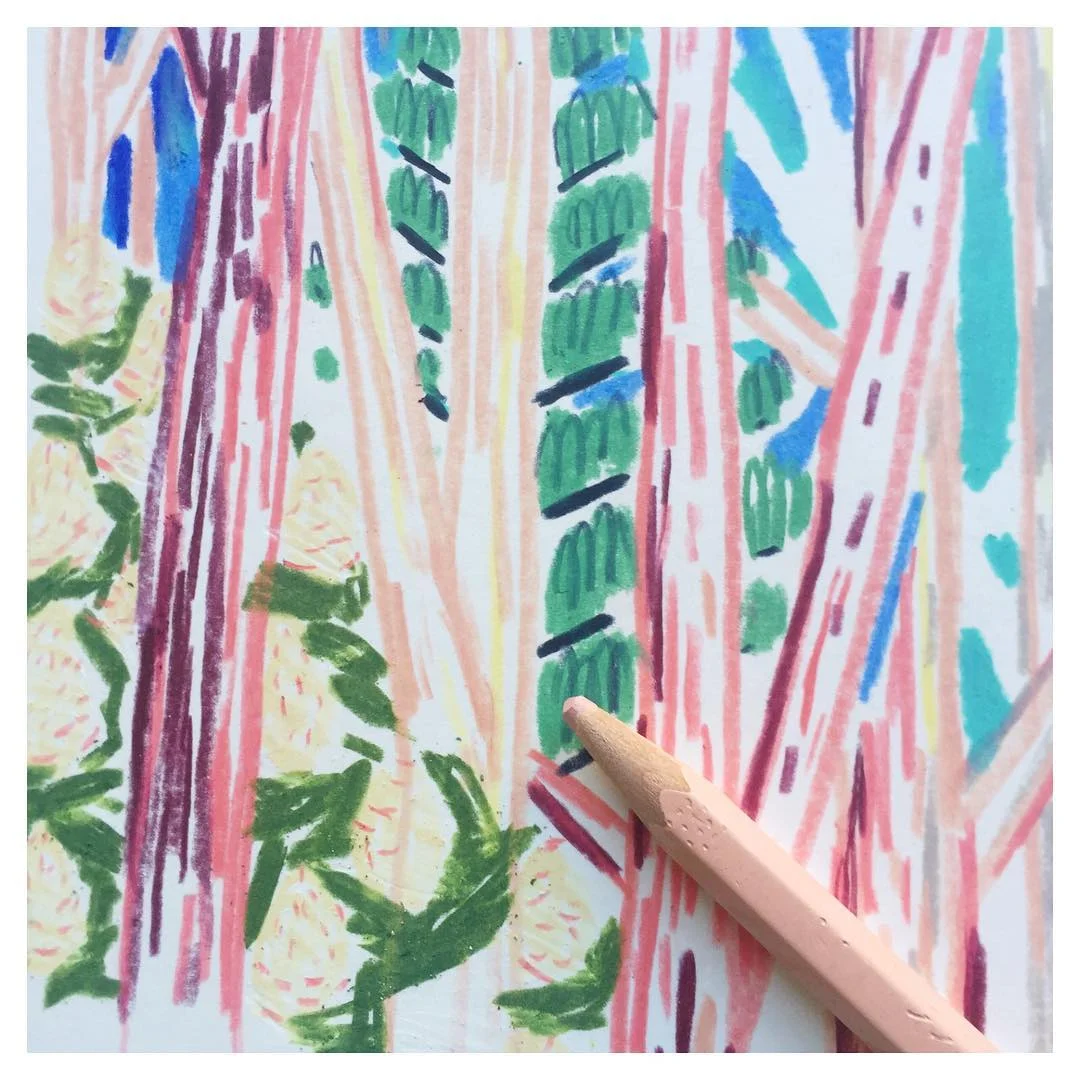 2016-02-13 11.53.52 1183974932743619553_1719112463.jpg