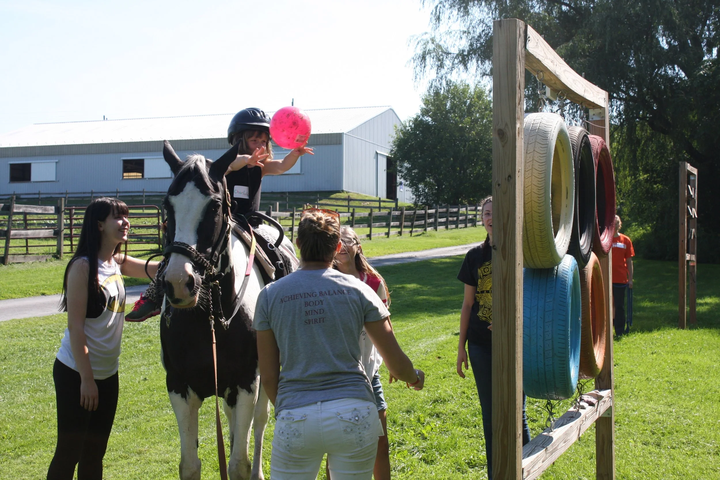 Beginner Volunteer Training