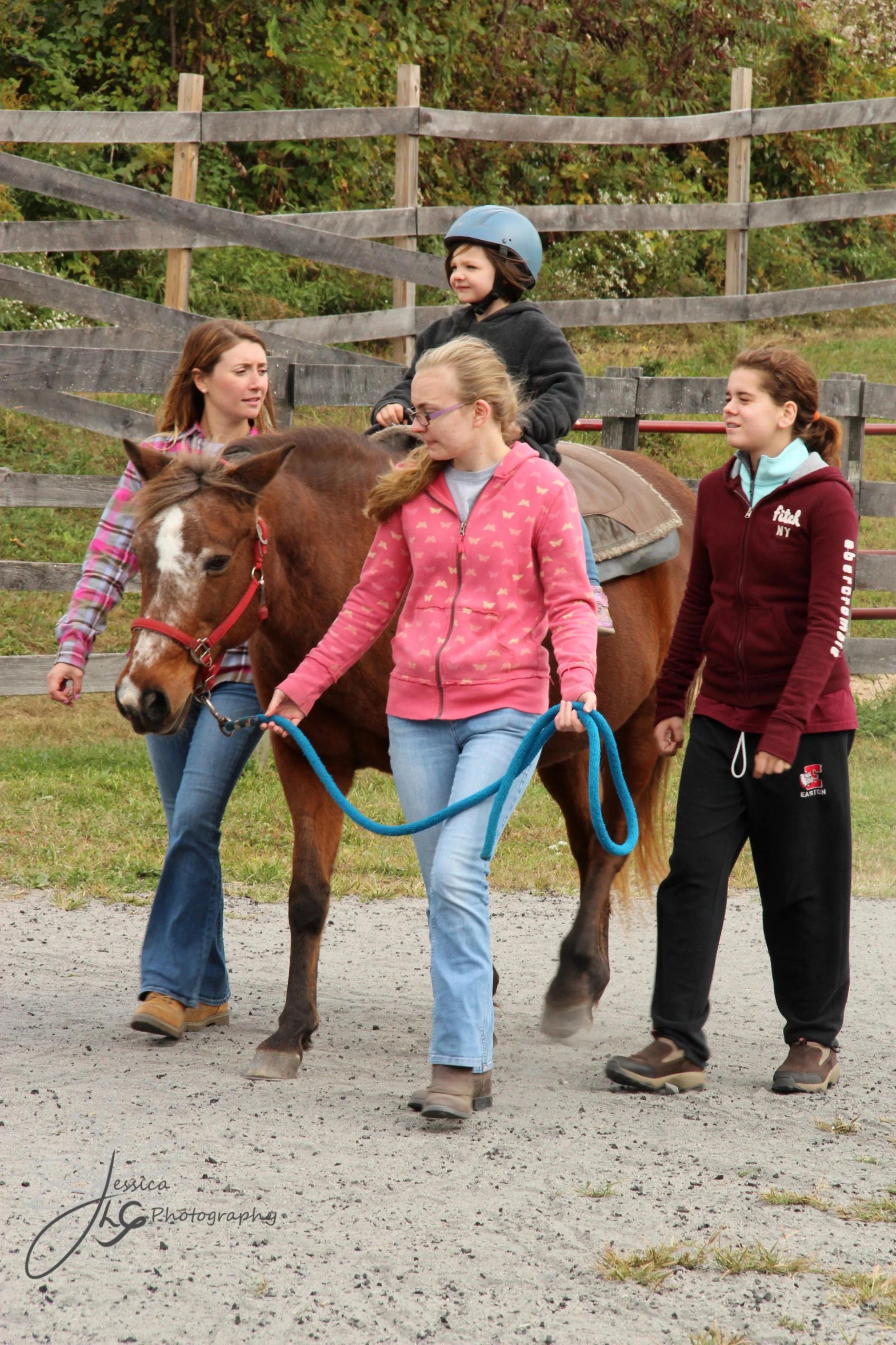 Beginner Volunteer Training