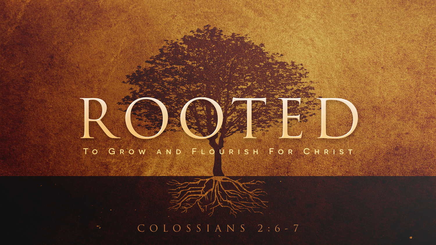 Rooted in Vision episode artwork