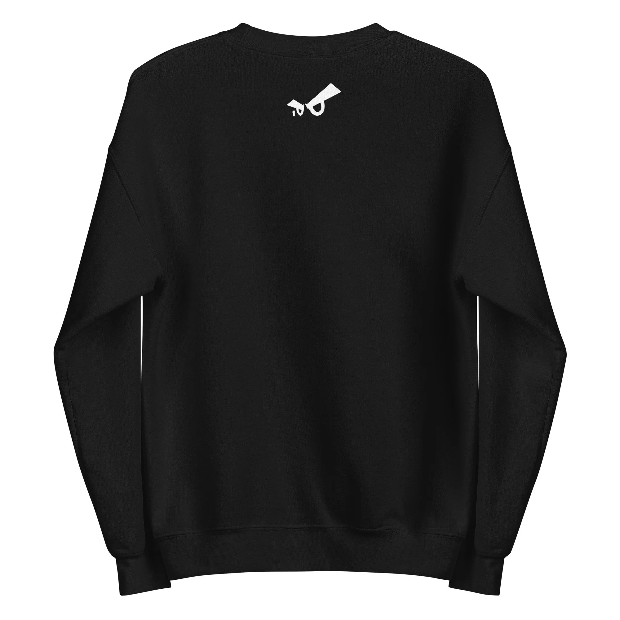 unisex-crew-neck-sweatshirt-black-back-6935cc2d80e02.jpg
