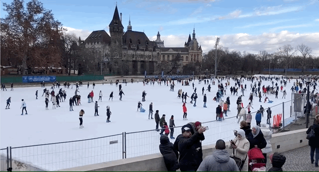 Dec-28-2018 08-36-56.gif