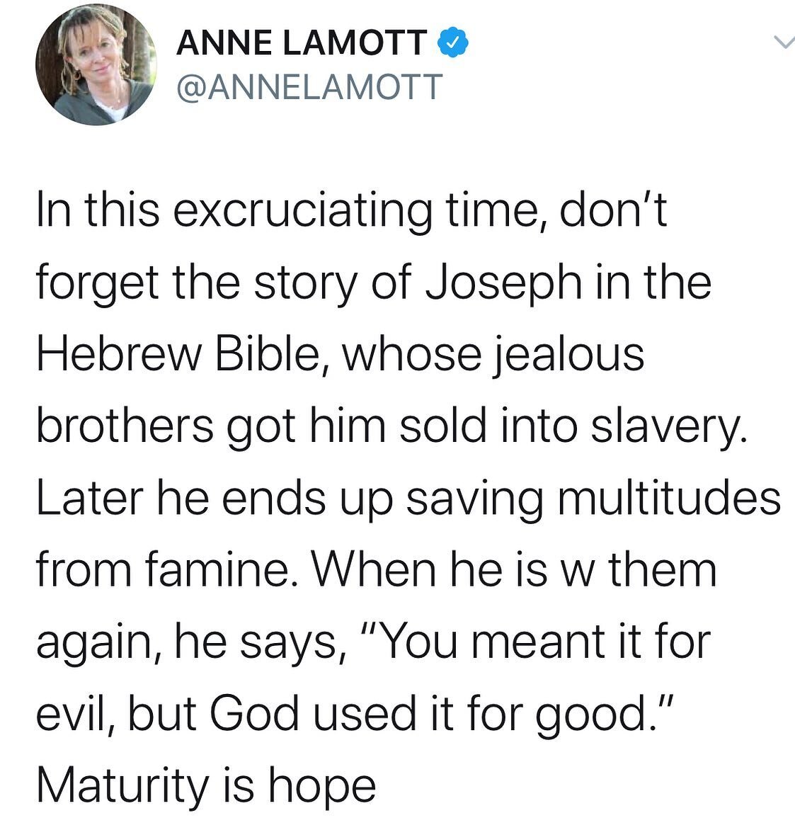 A word from Queen @annelamott #hope