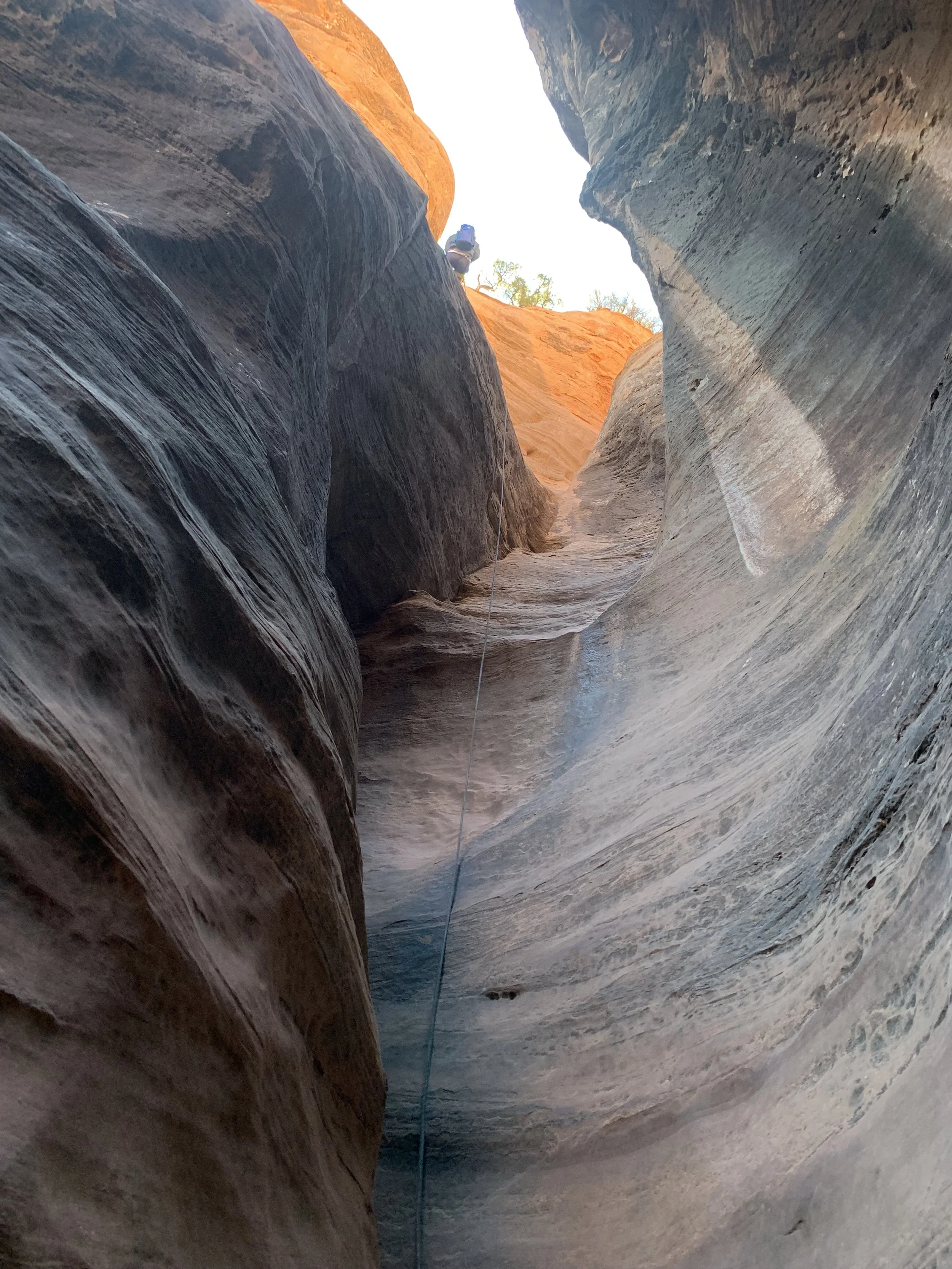 Optimizing Self-Leadership