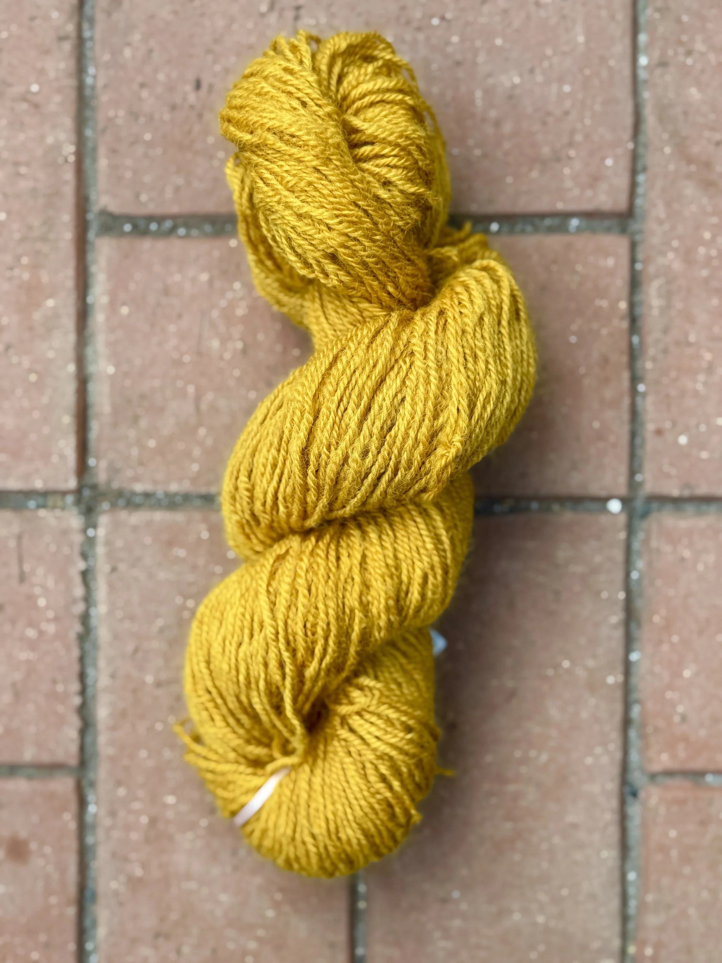 Golden Saffron Border Leicester 3-ply Worsted Yarn