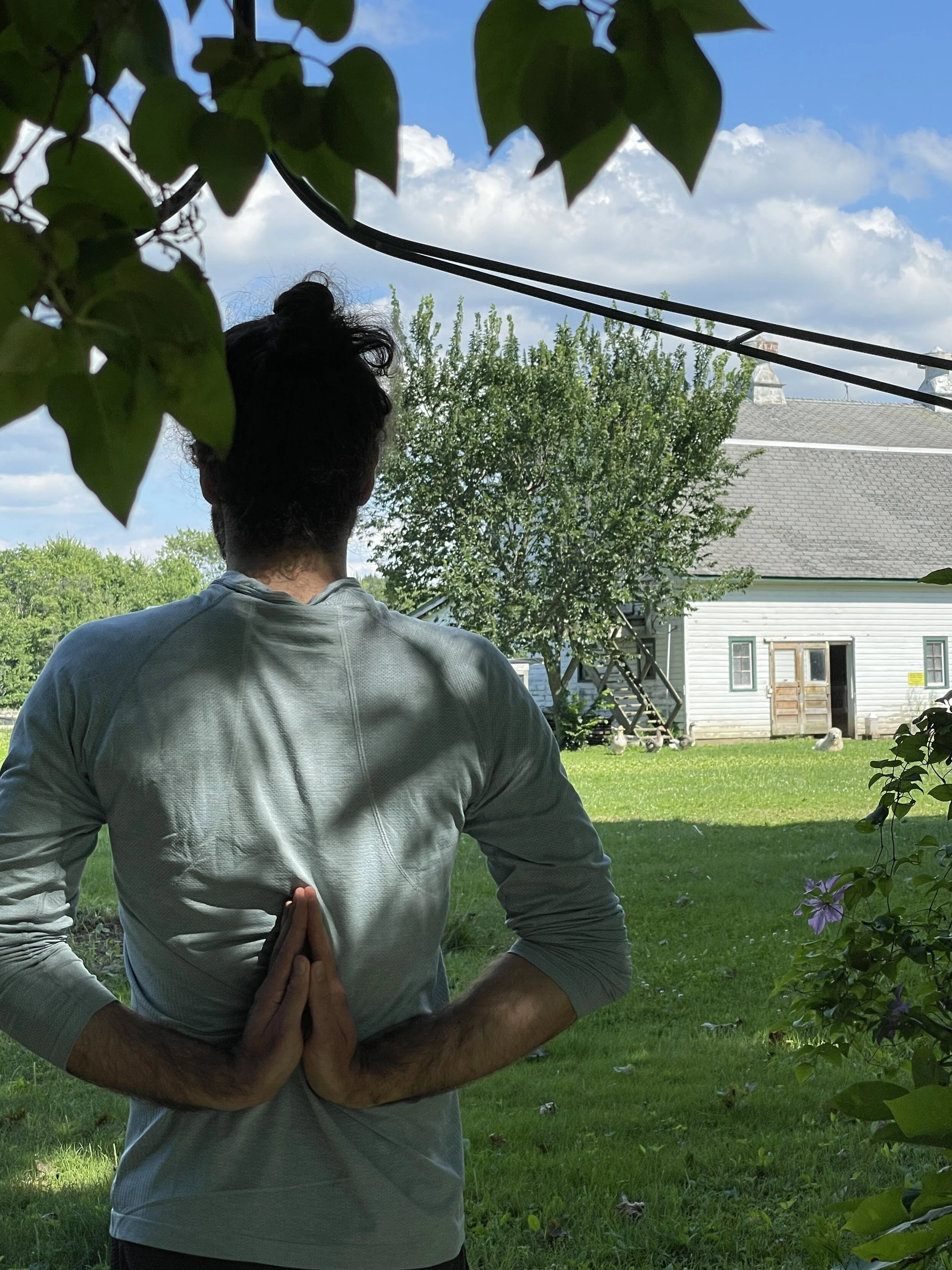 Yoga on the Farm