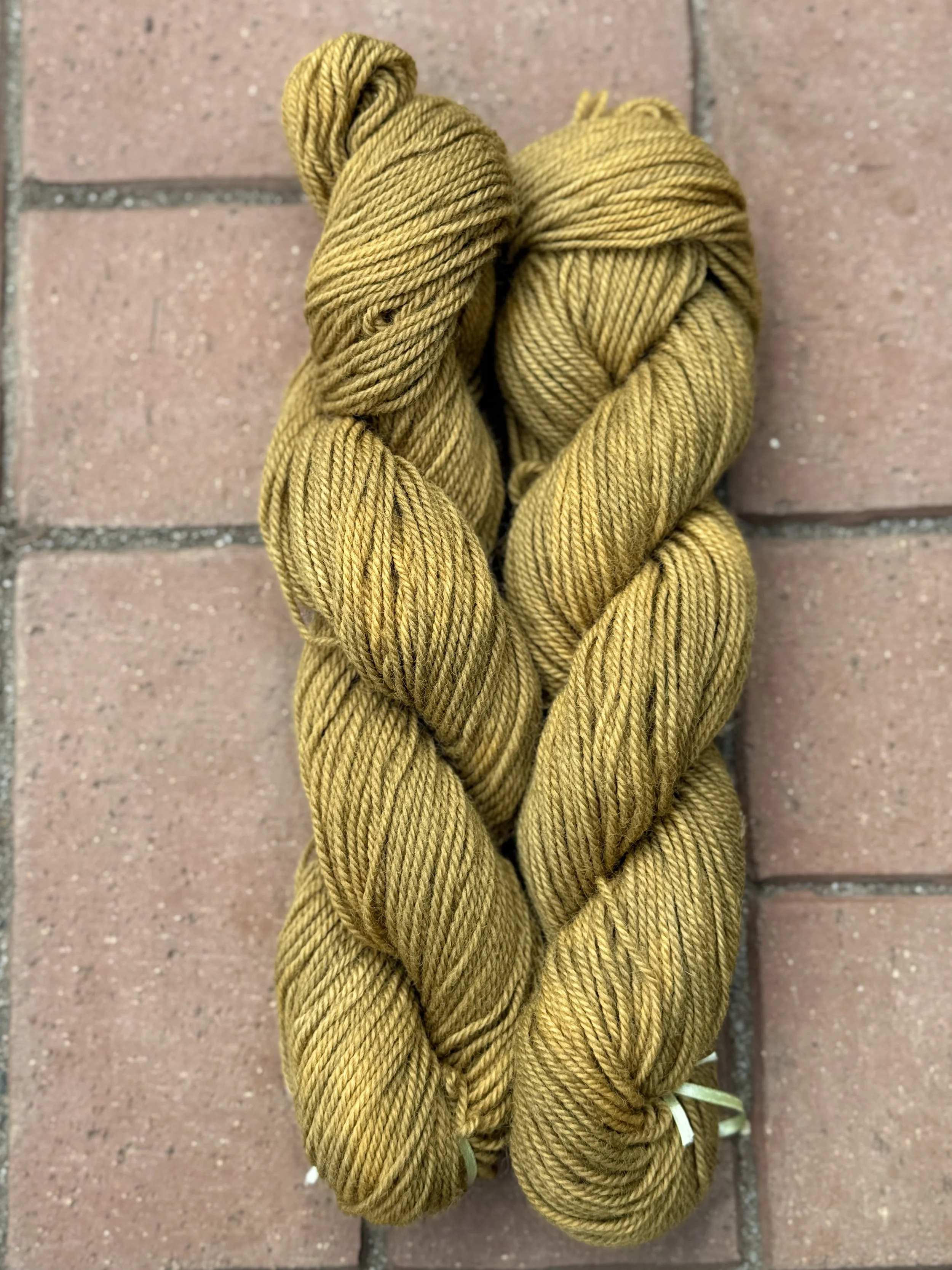 Sea Kelp Border Leicester 3-ply DK Yarn