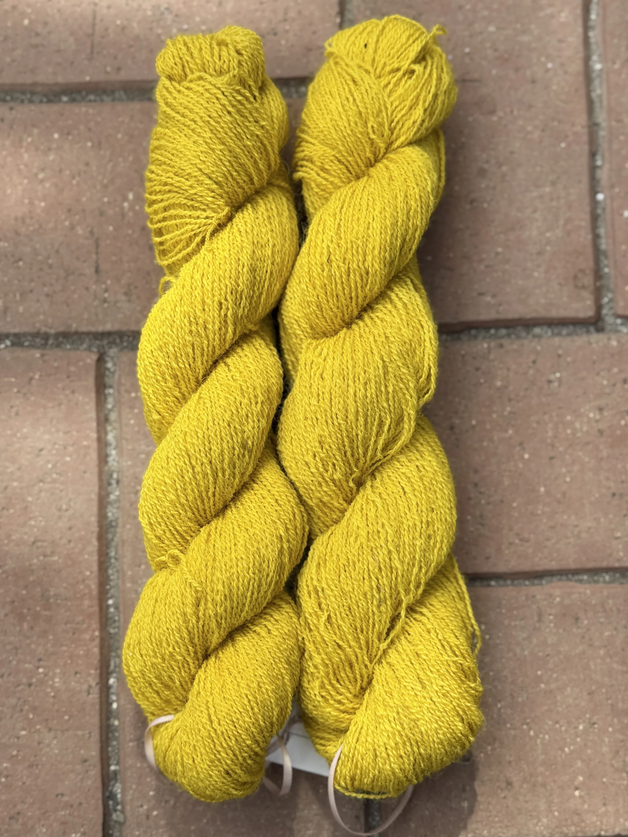 Bright Spot Border Leicester 2-Ply Fingering Yarn