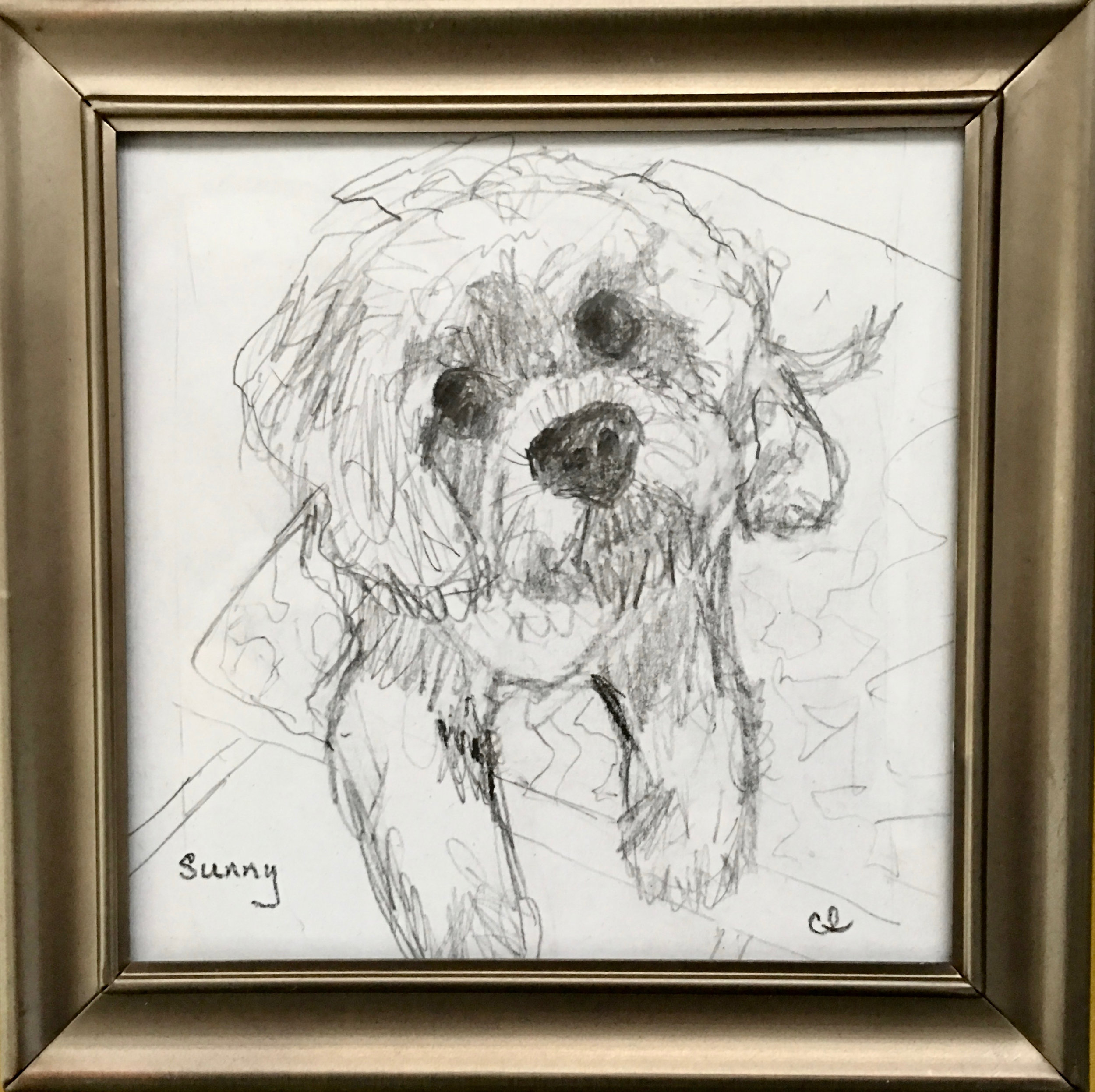 Study of Sunny