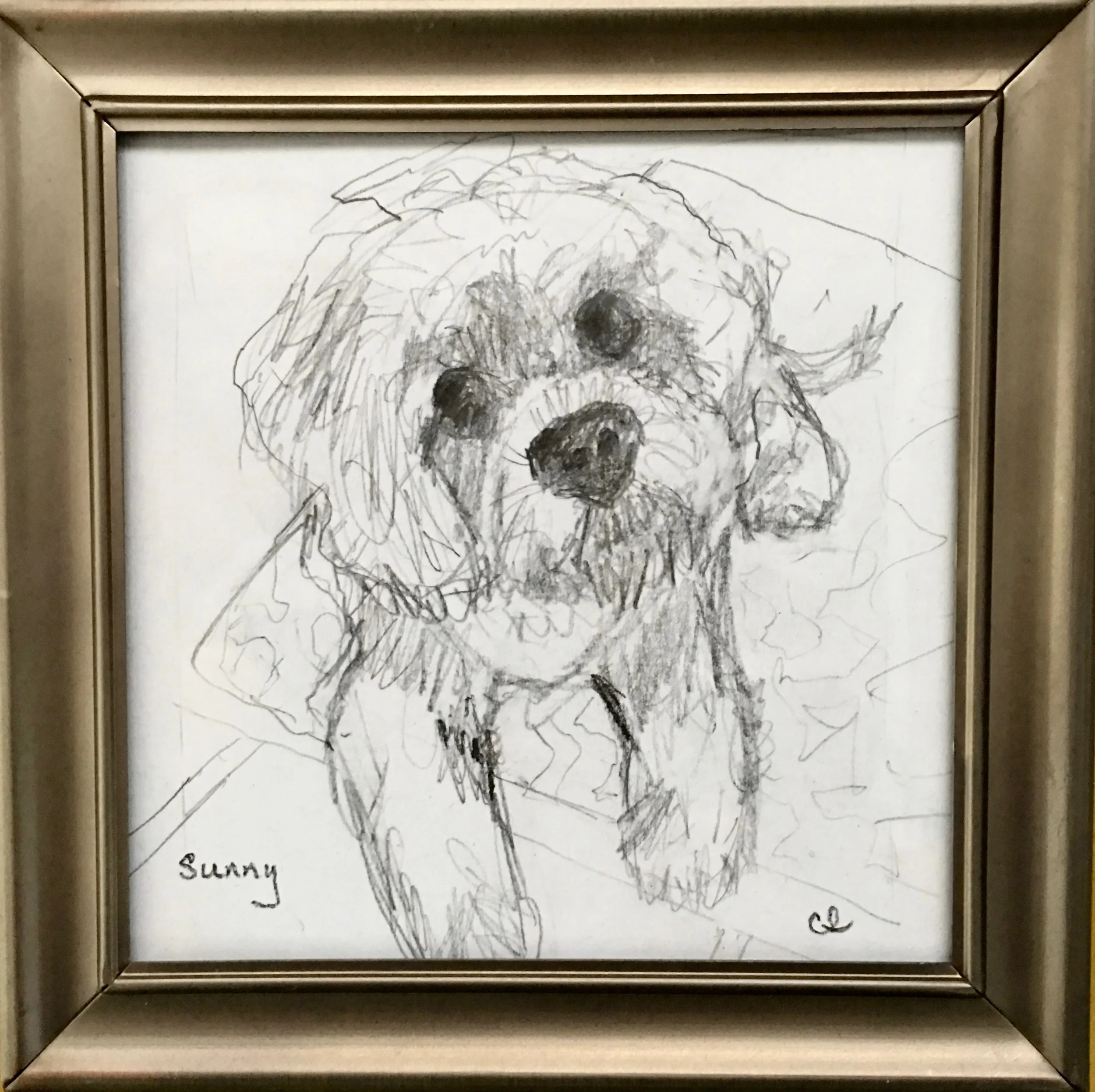 Study of Sunny