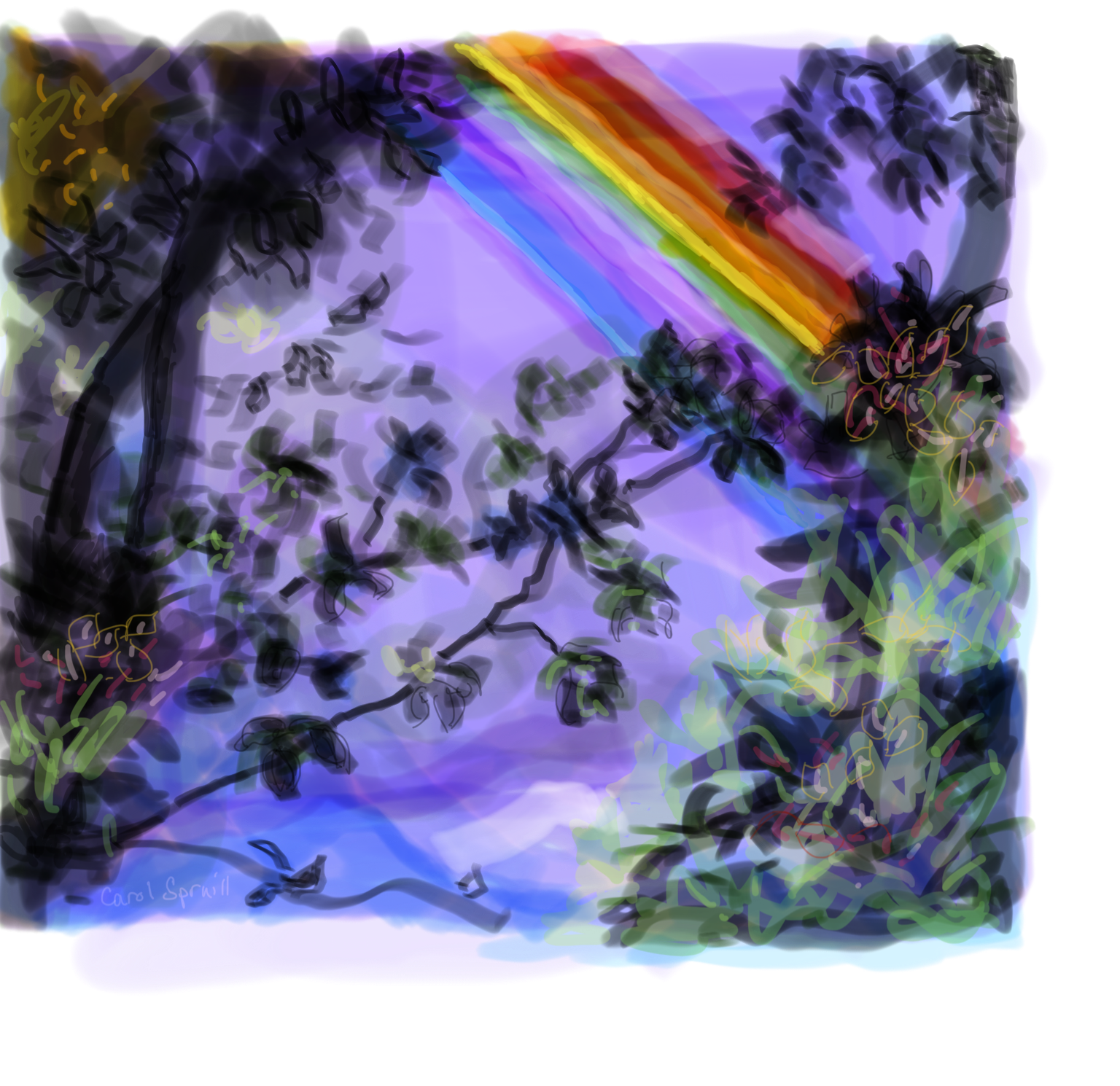 IMG_0177.png