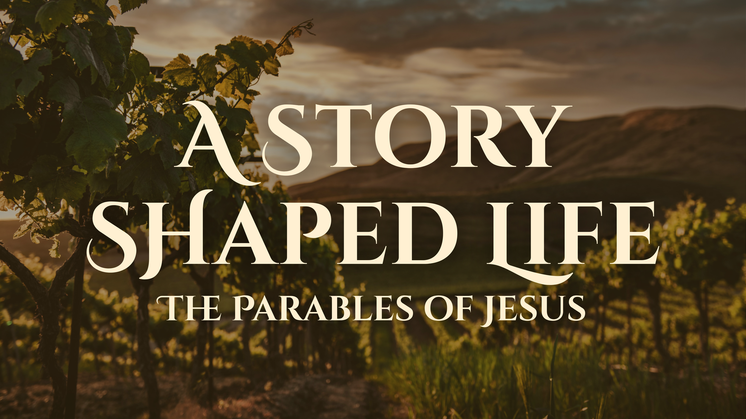 A Story Shaped Life.png