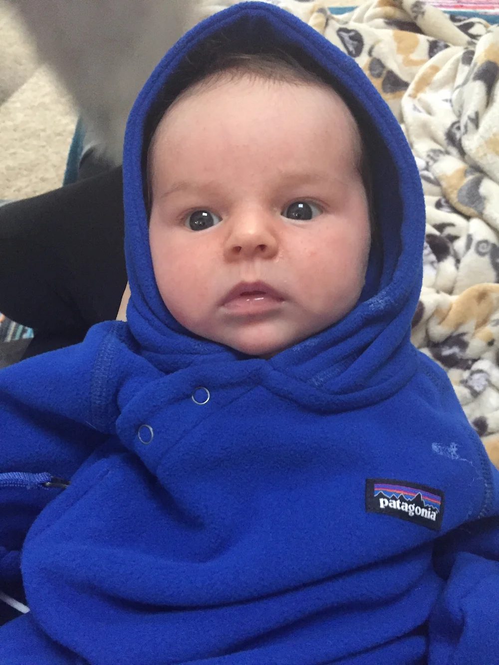 BABY KURTZ!