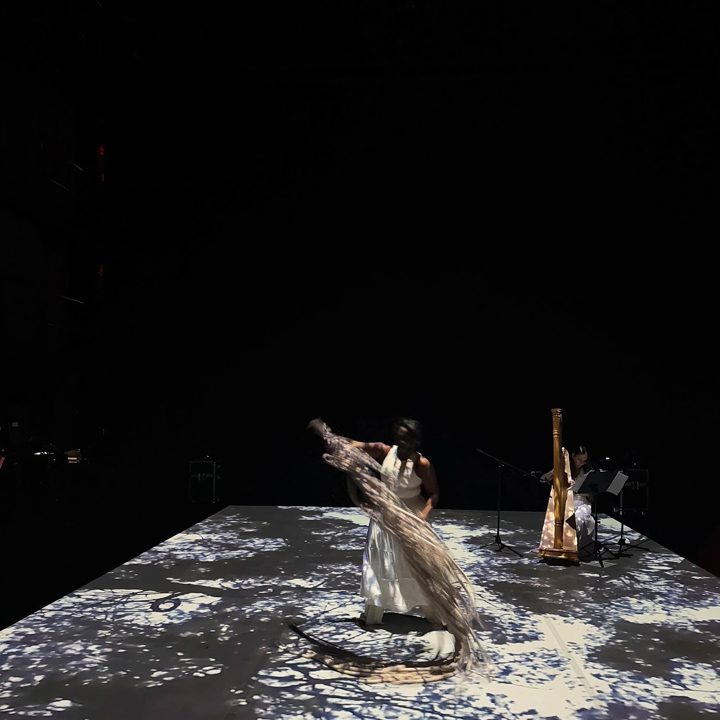 Stories of Migration: An Art Performance