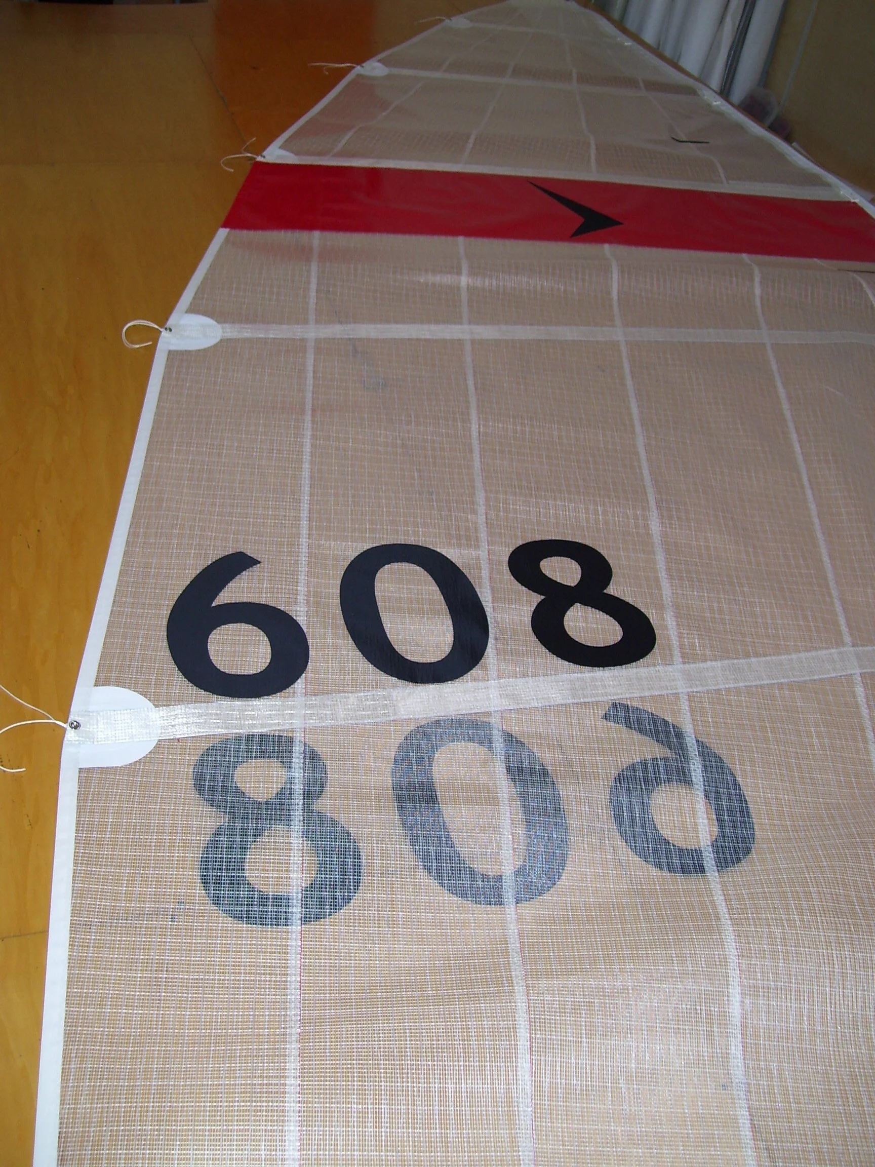 SharkMainsail2.jpg