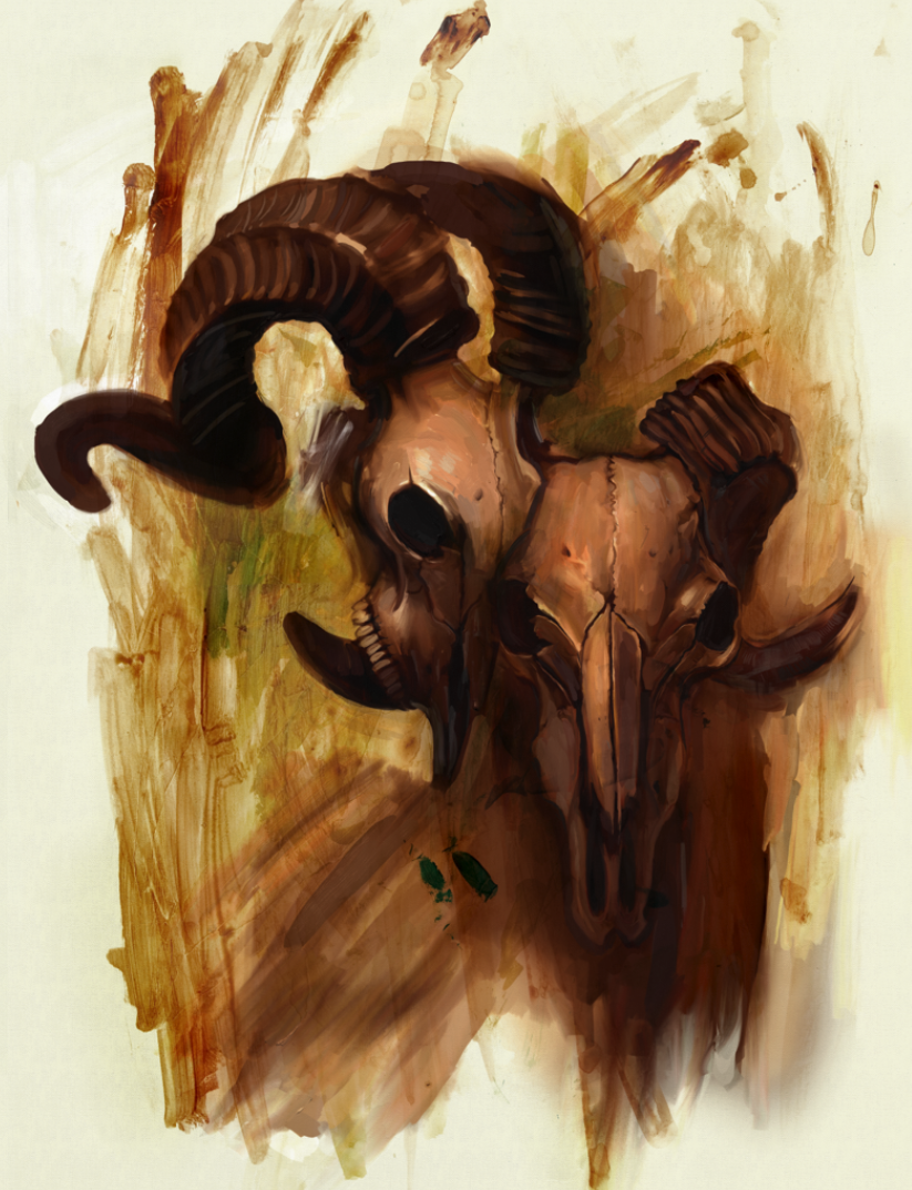 Original Adobe Designs