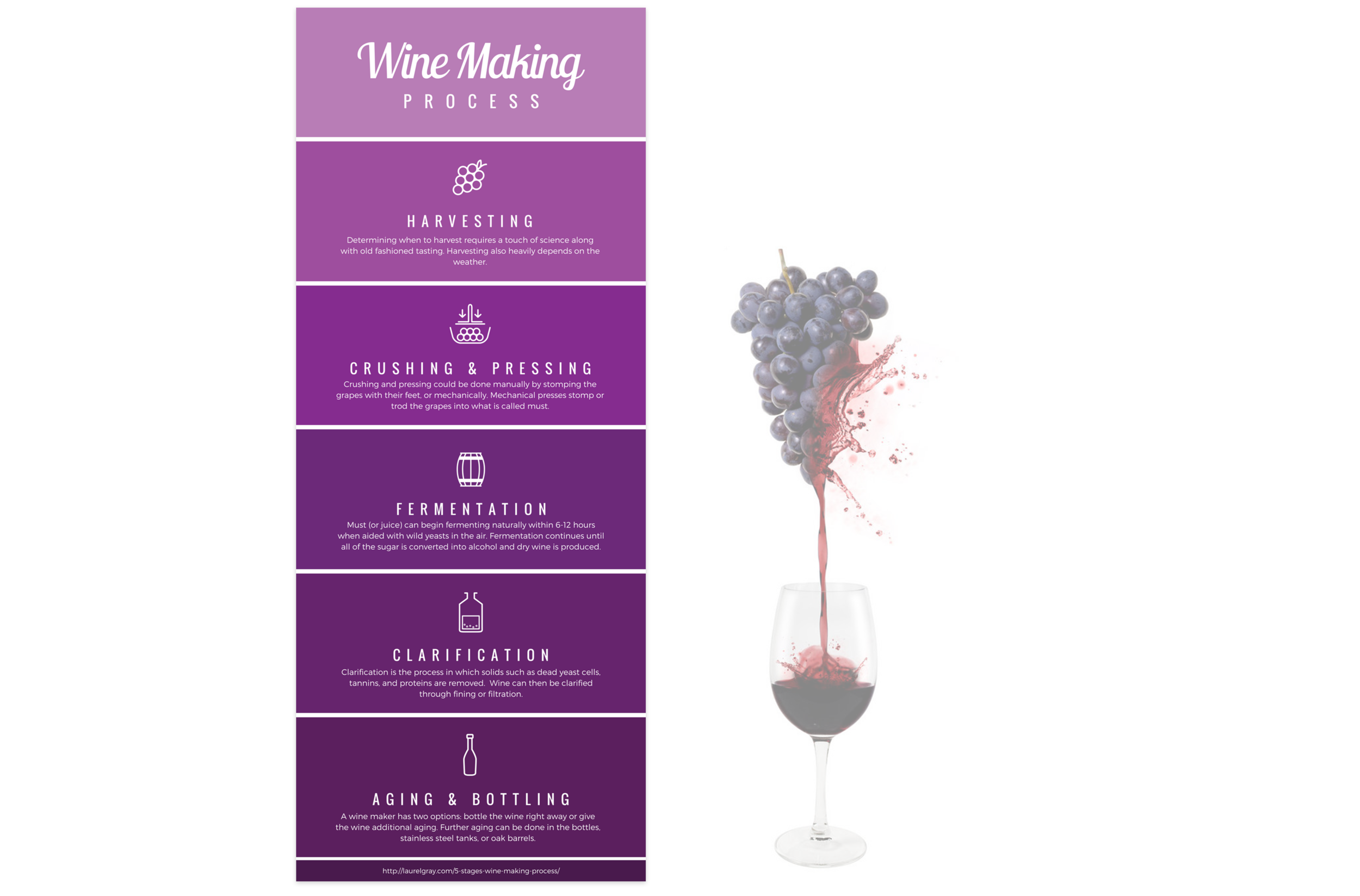 wine-making-process-2.png