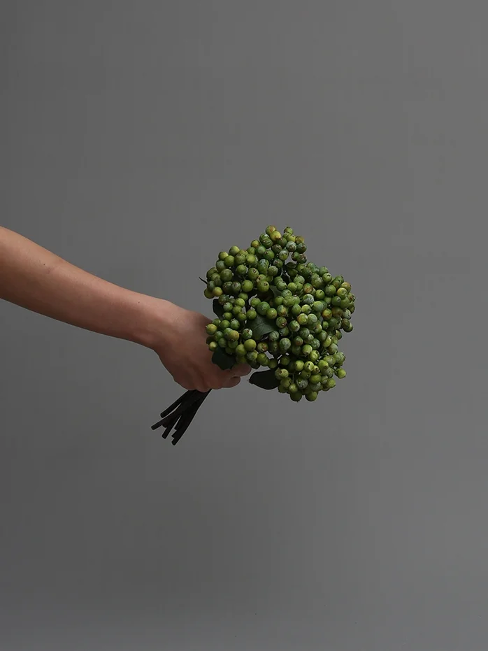 SPRIG Green Berry