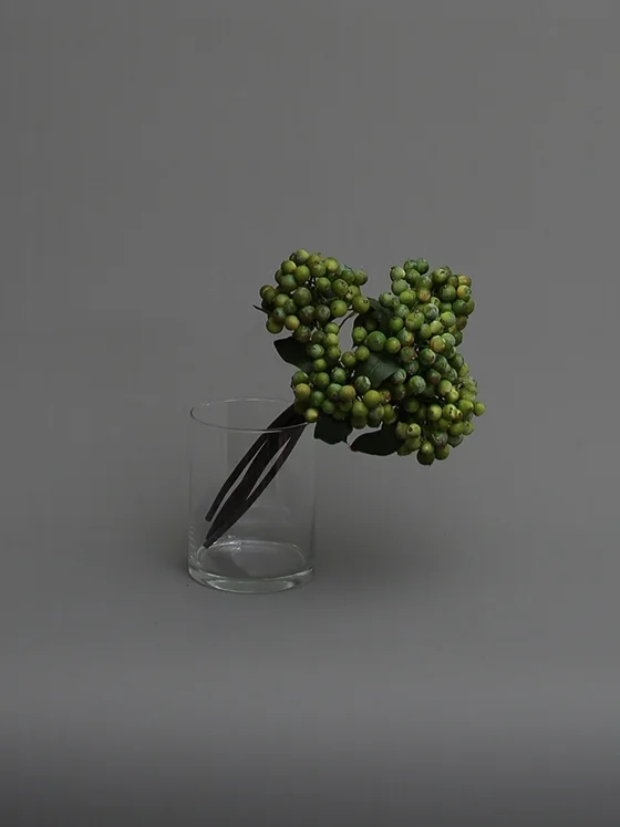 SPRIG Green Berry