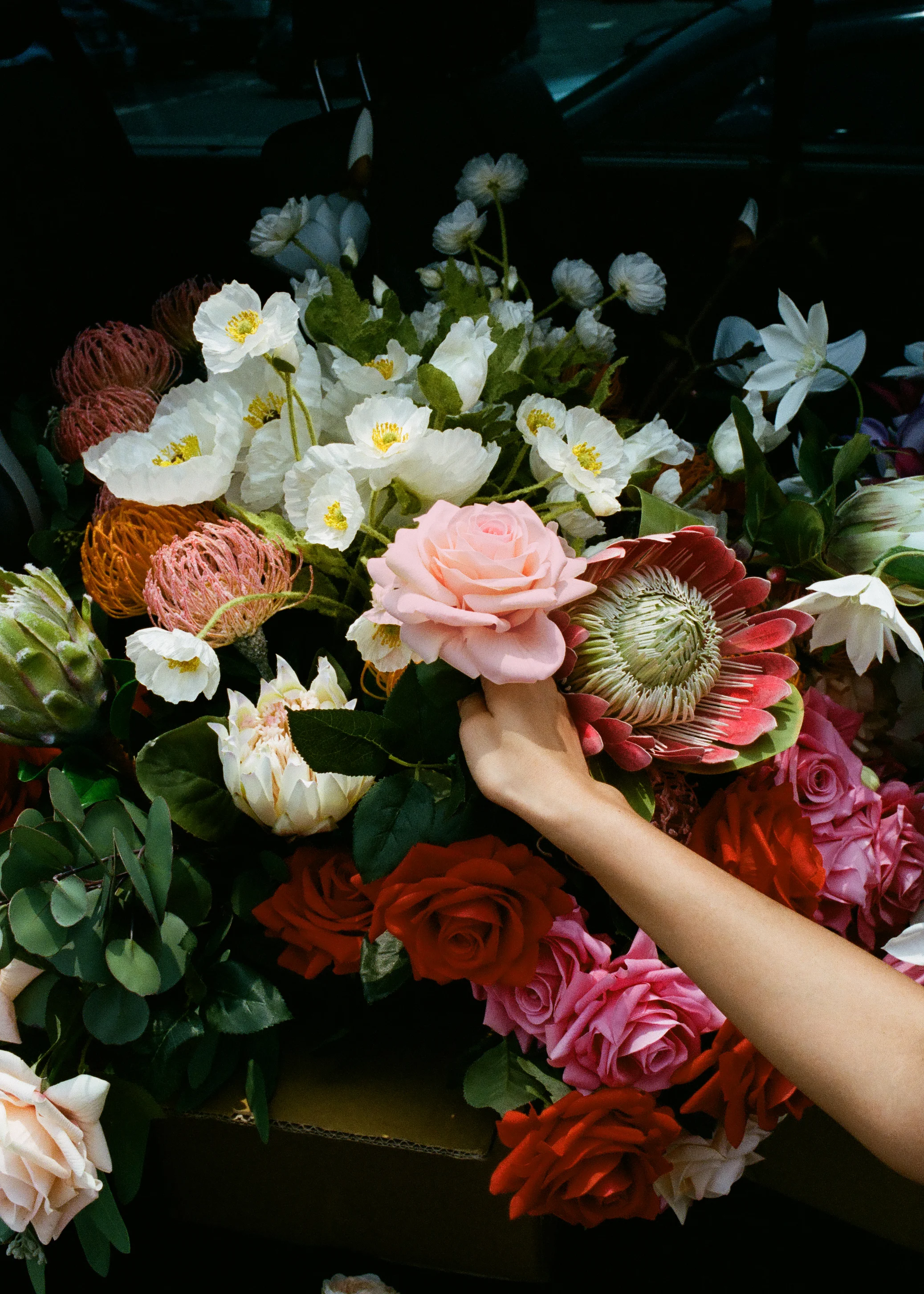 Hand-rose-5x7.jpg