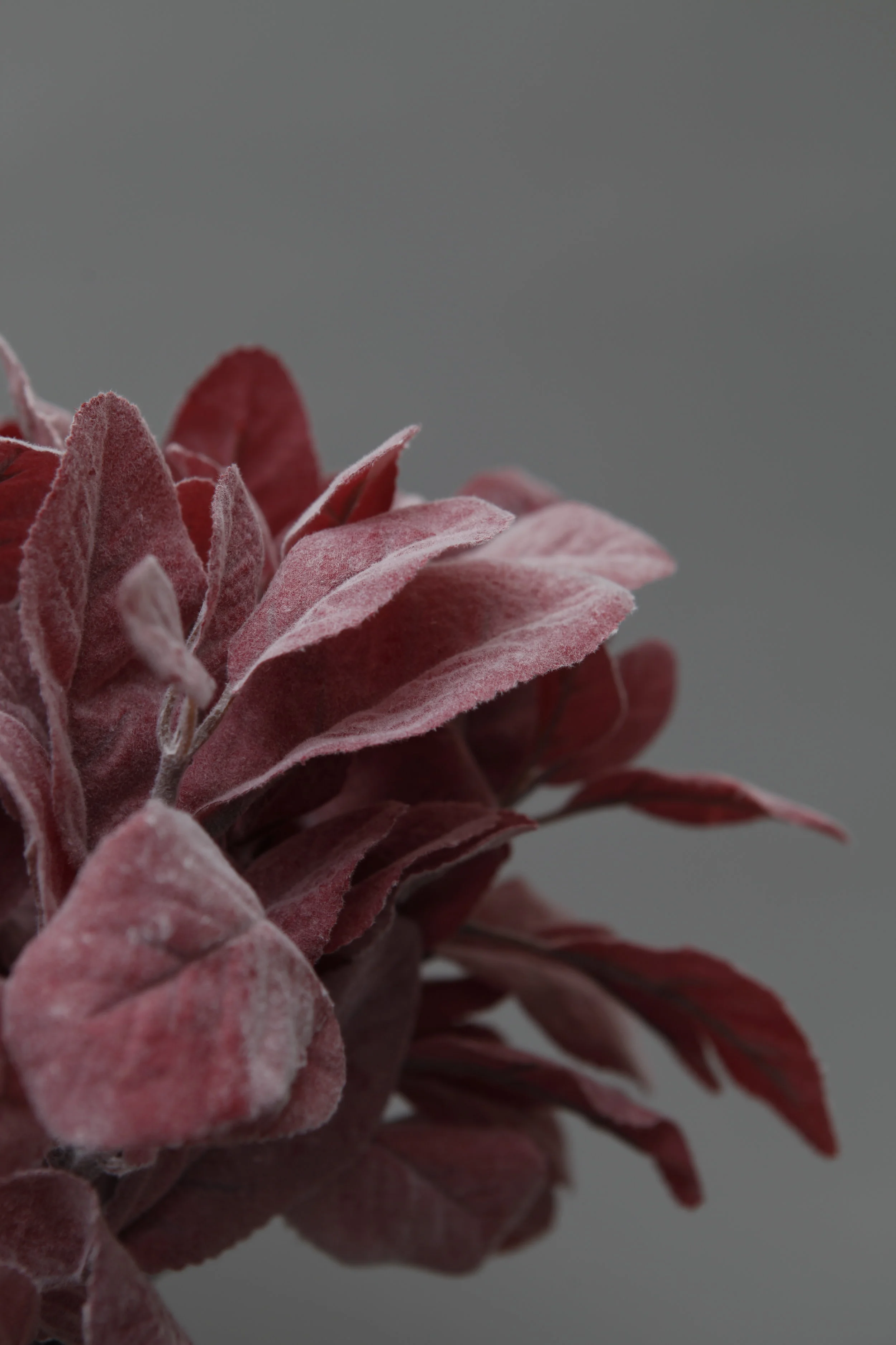 SPRIG Florals - Faux Stachys Sprig Red