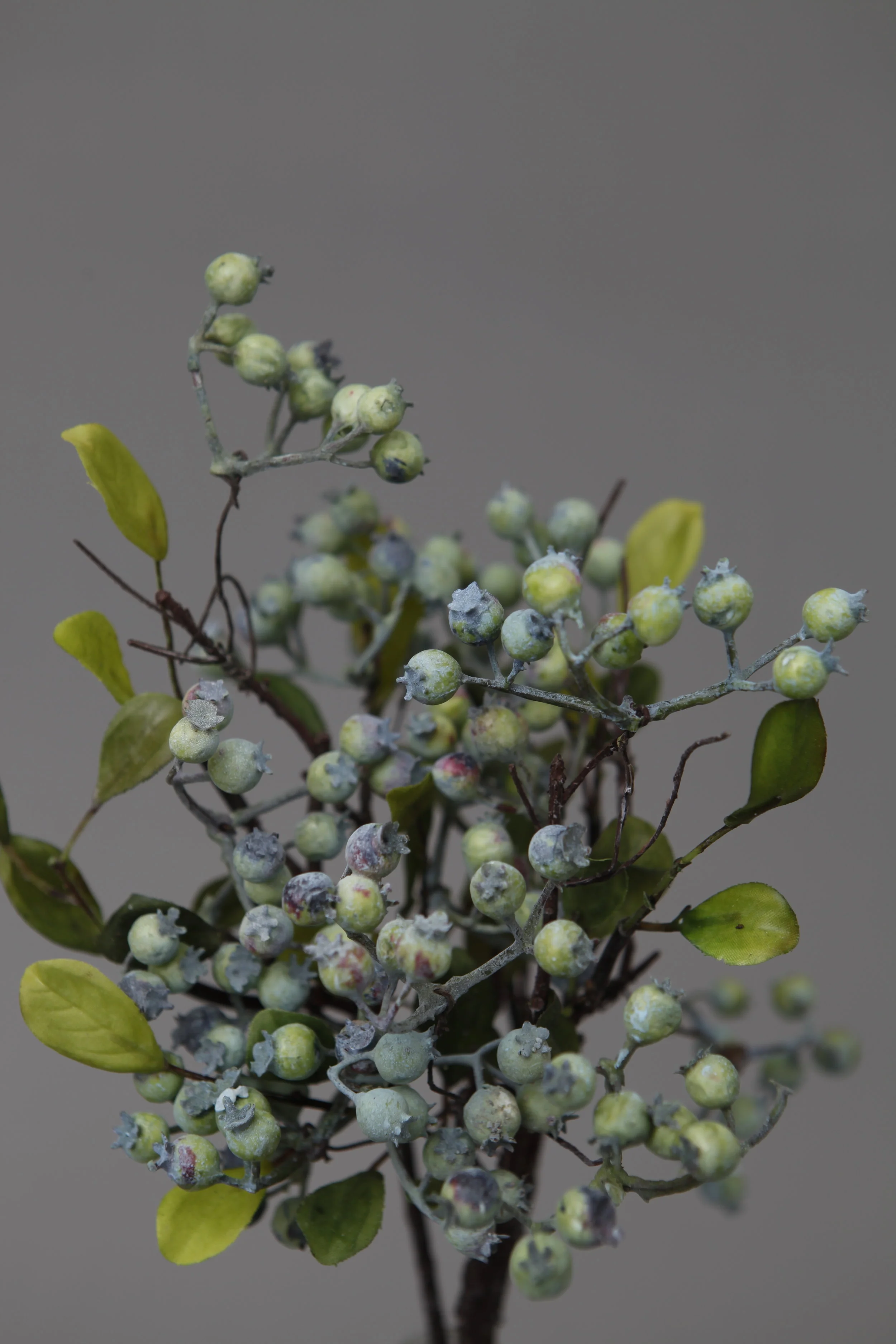 SPRIG Florals - Faux Autumn Berries Light Blue