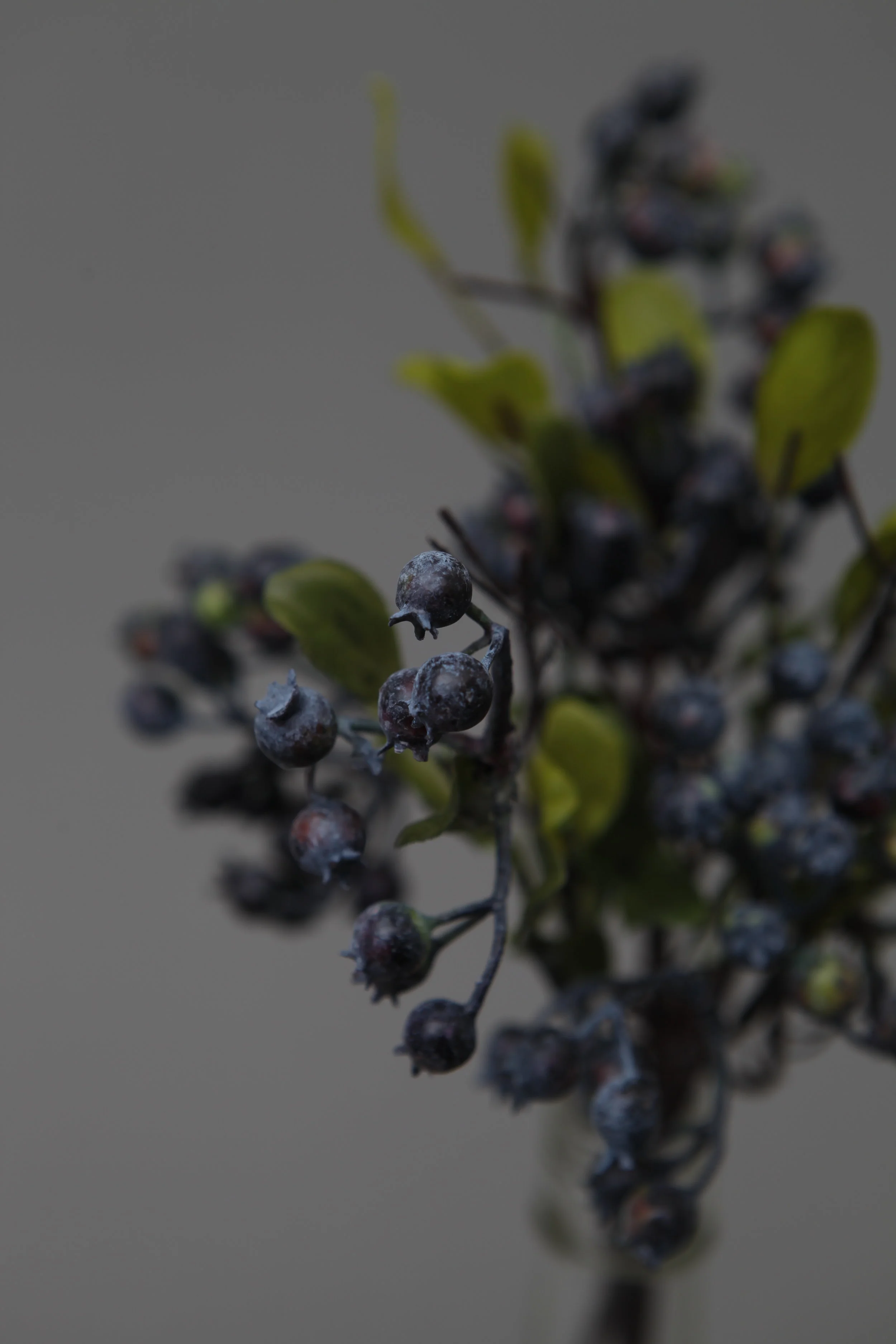 SPRIG Florals - Faux Autumn Berries Indigo