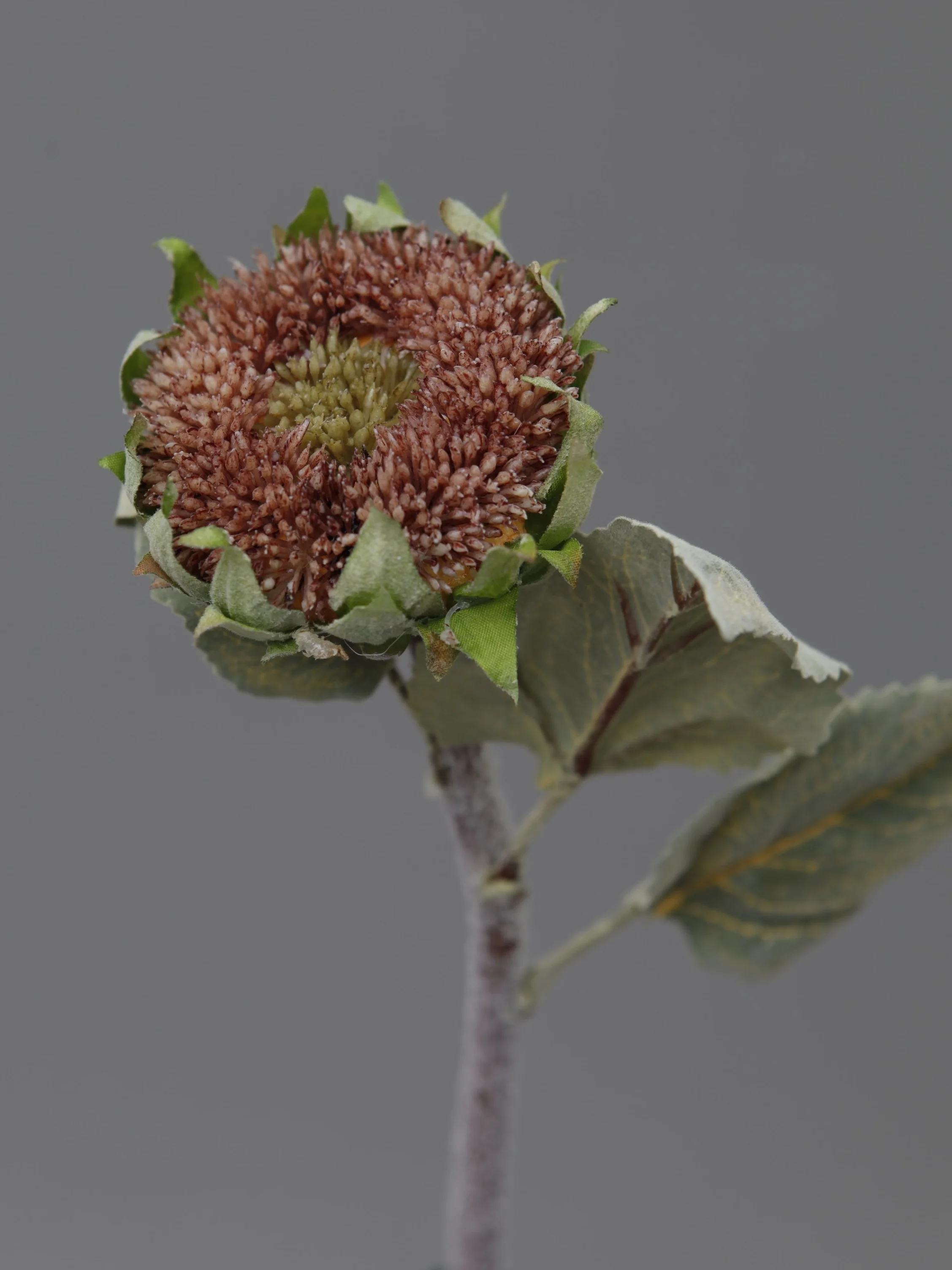 SPRIG Florals - Faux Harvest Sunflower Brown