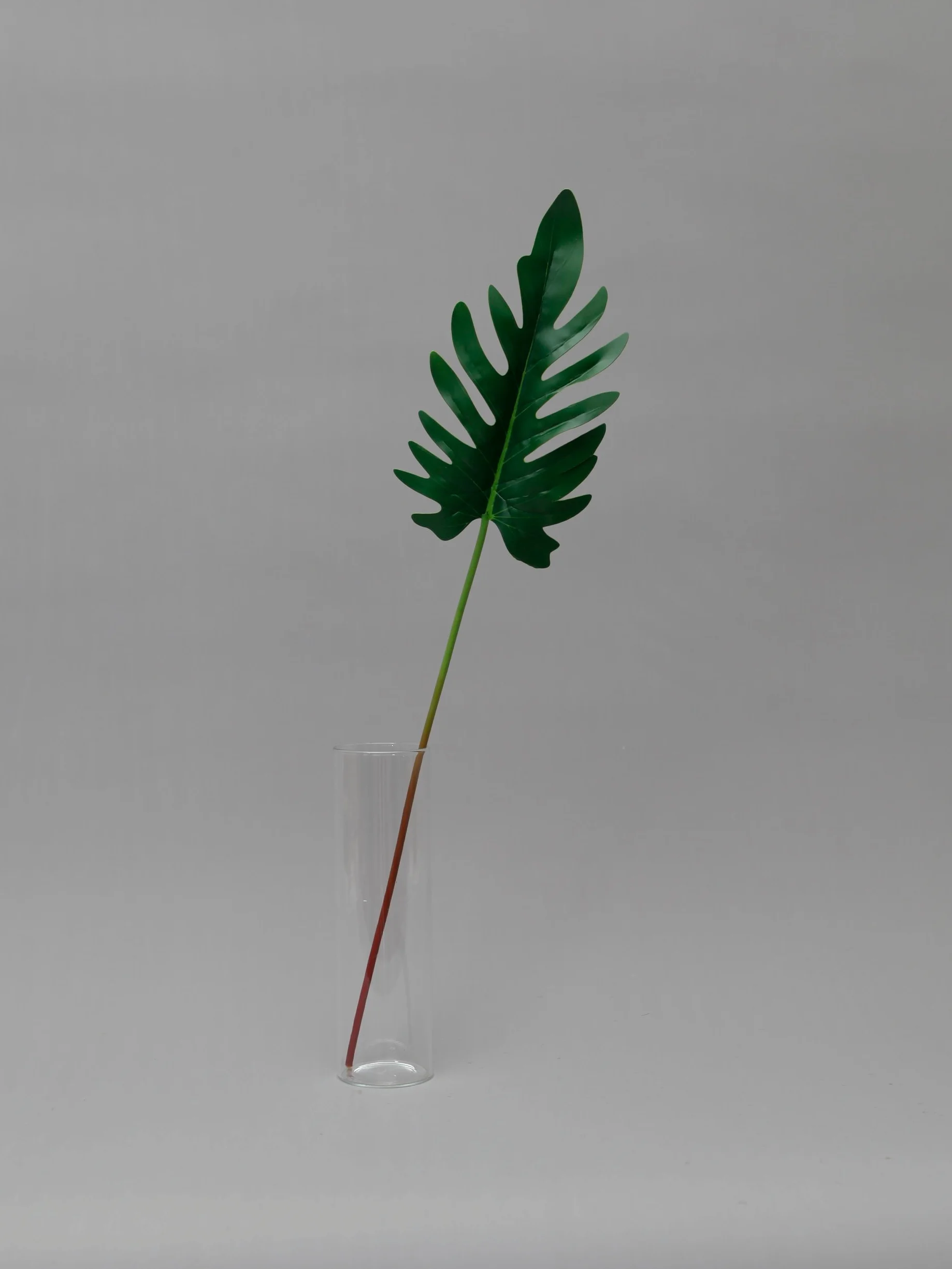 SPRIG Florals - Faux Foliage, Philodendron Lacy Tree