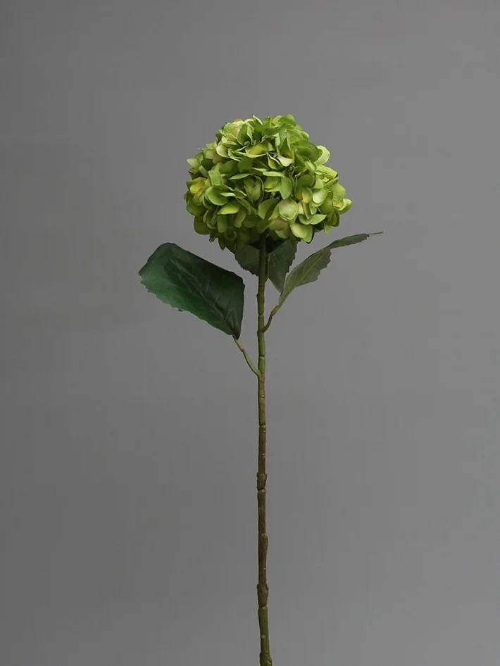 SPRIG Florals Hydrangea Green