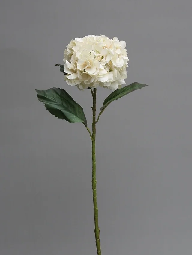 SPRIG Florals Hydrangea White