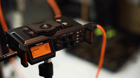Recording-Foosteps10.gif