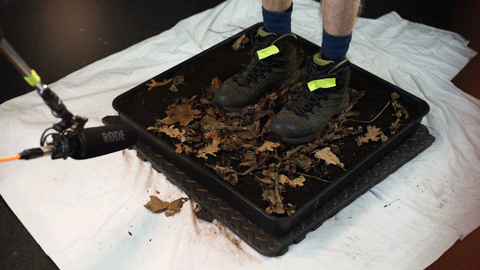 Recording-Foosteps13.gif