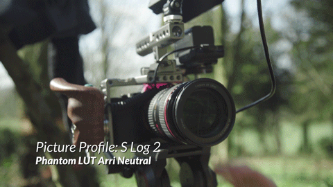 Shooting-Log2.gif