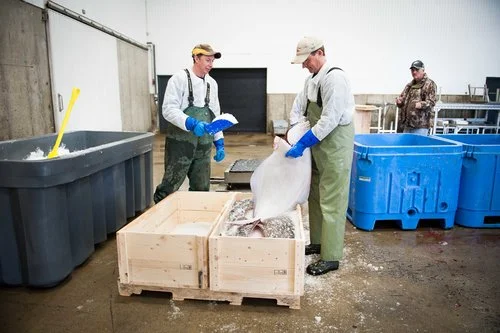 james mood halibut coffin.jpg