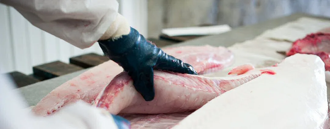 mood halibut fillet.jpg