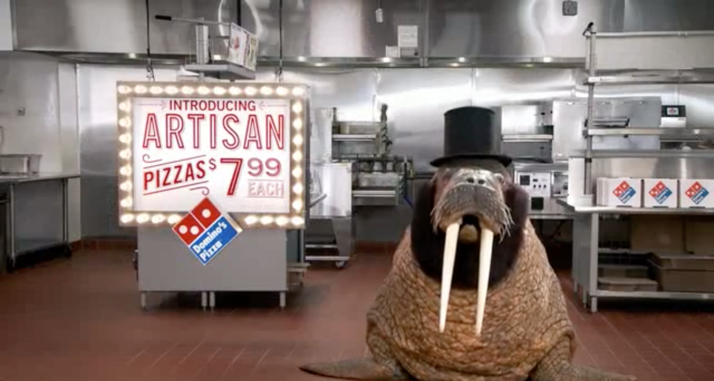 Screen Shot 2018-01-23 at 10.27.06 AM.png