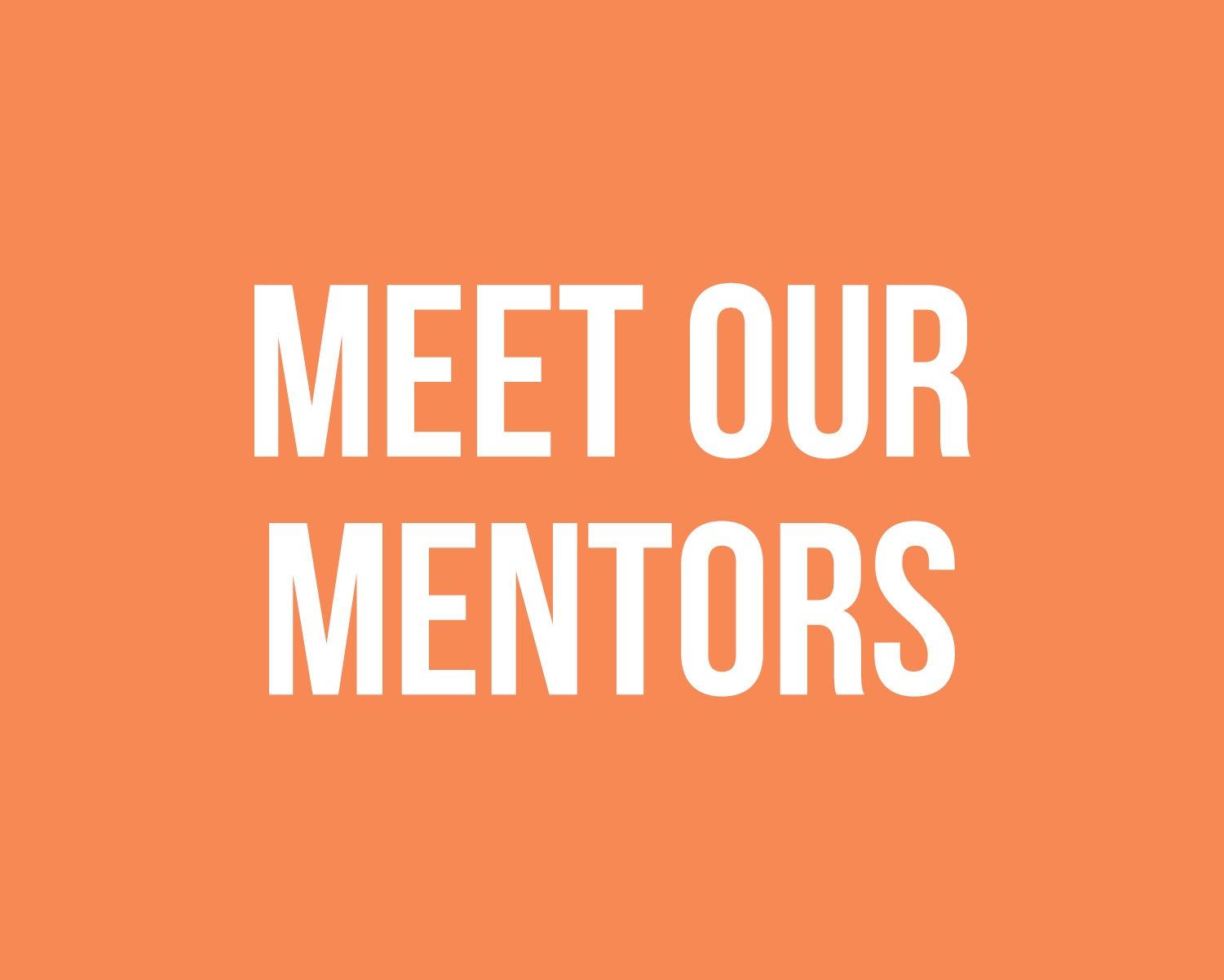 Meet Our Mentors