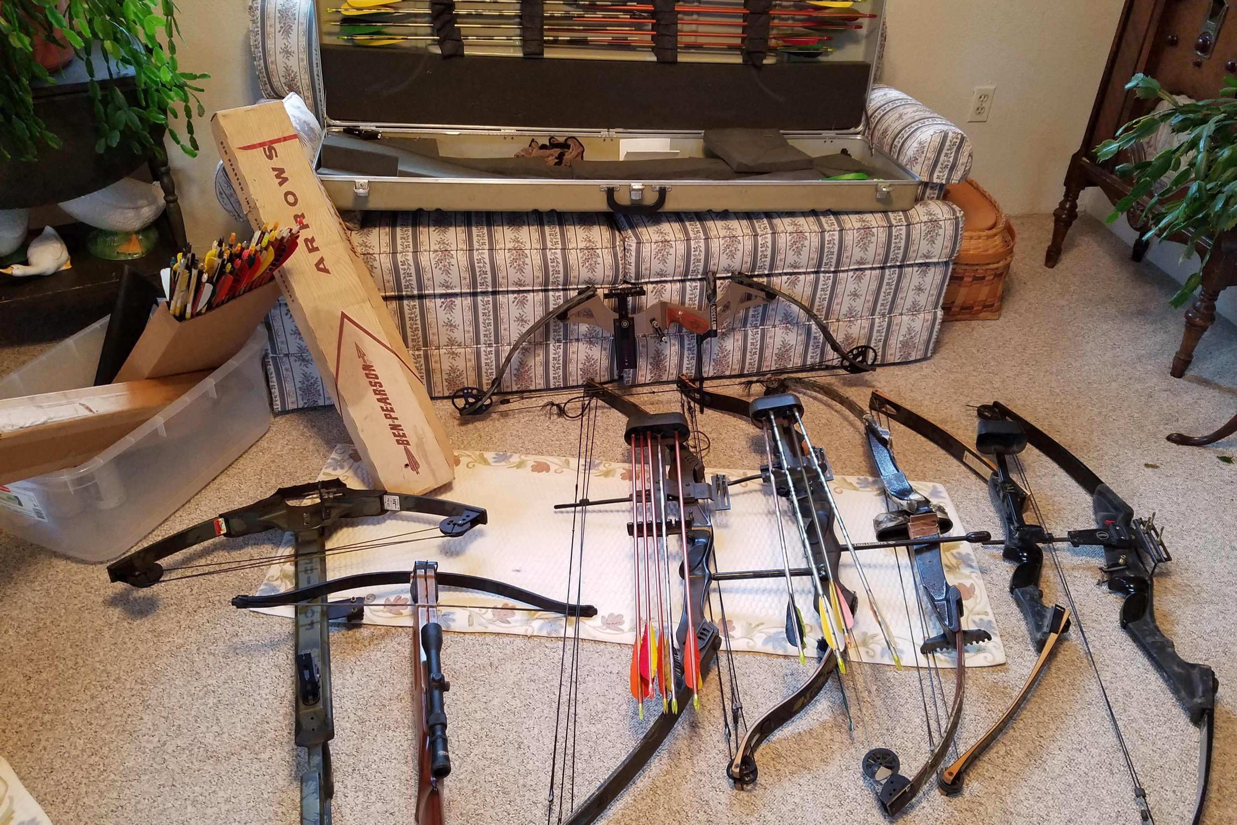 Collection+of+bows+arrows.jpg