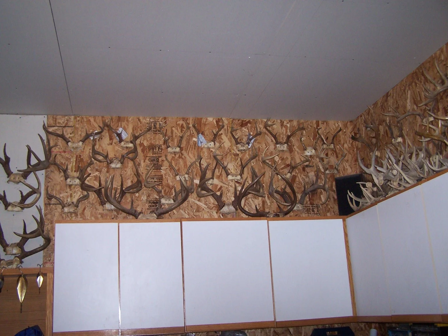 lunke antlers.JPG