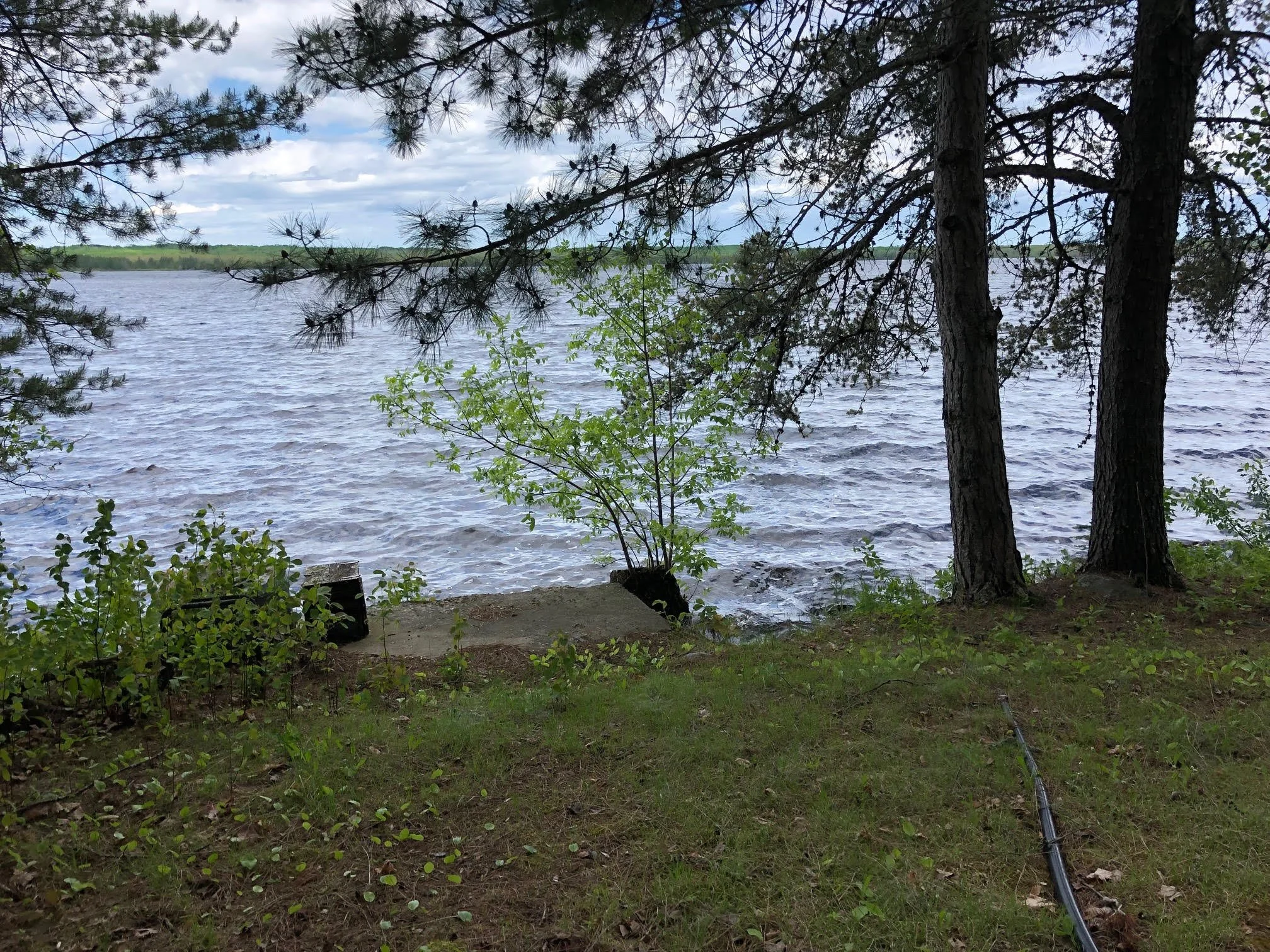 cabin lakeview.jpg
