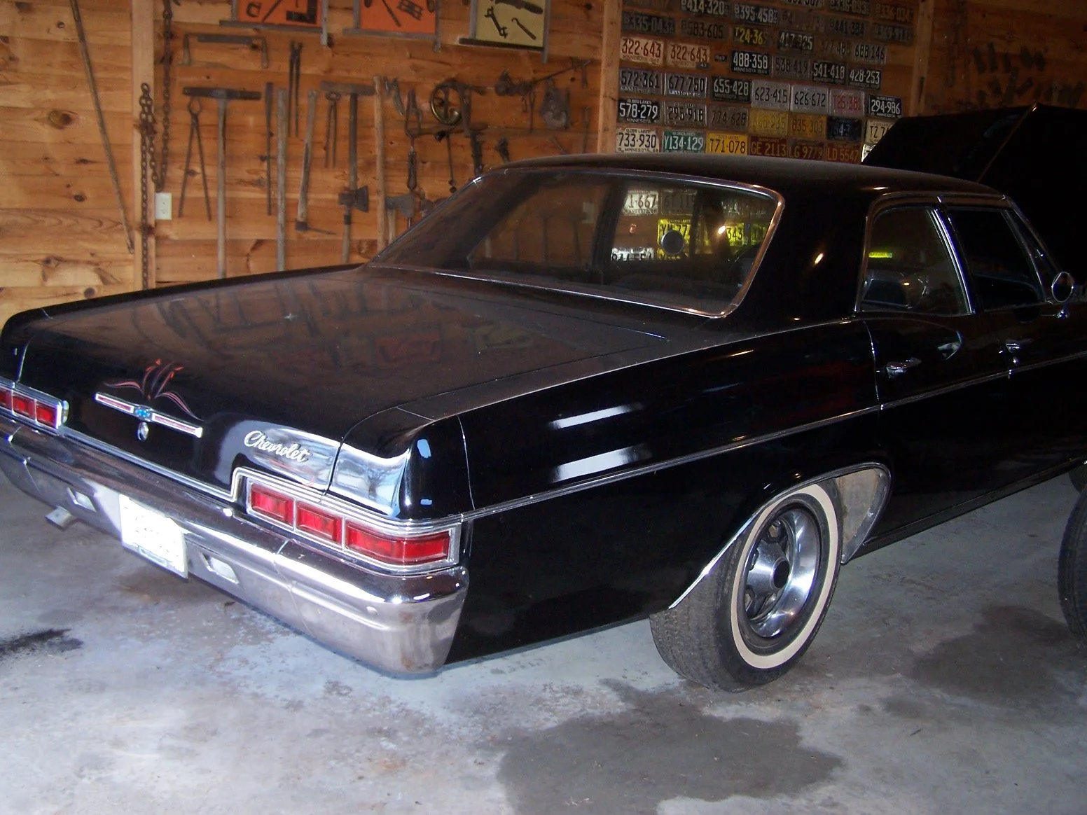 koland impala back.JPG